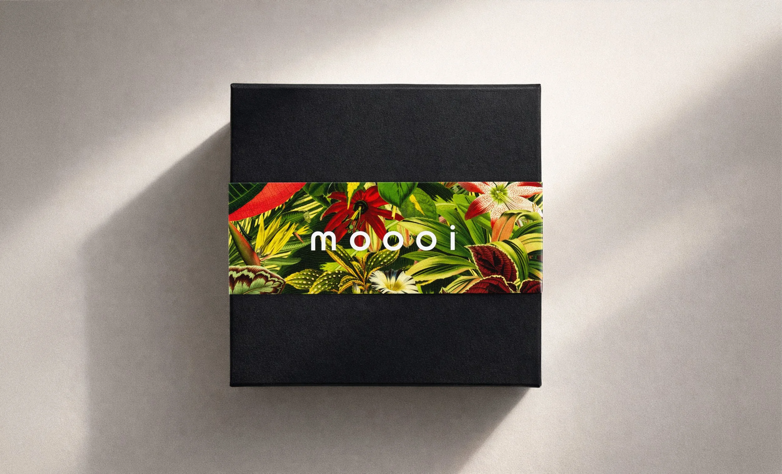 Black fragrance box, Extinct Plants Home Fragrance Collection by Moooi, illustration, packaging and visual identity by Automne Studio.