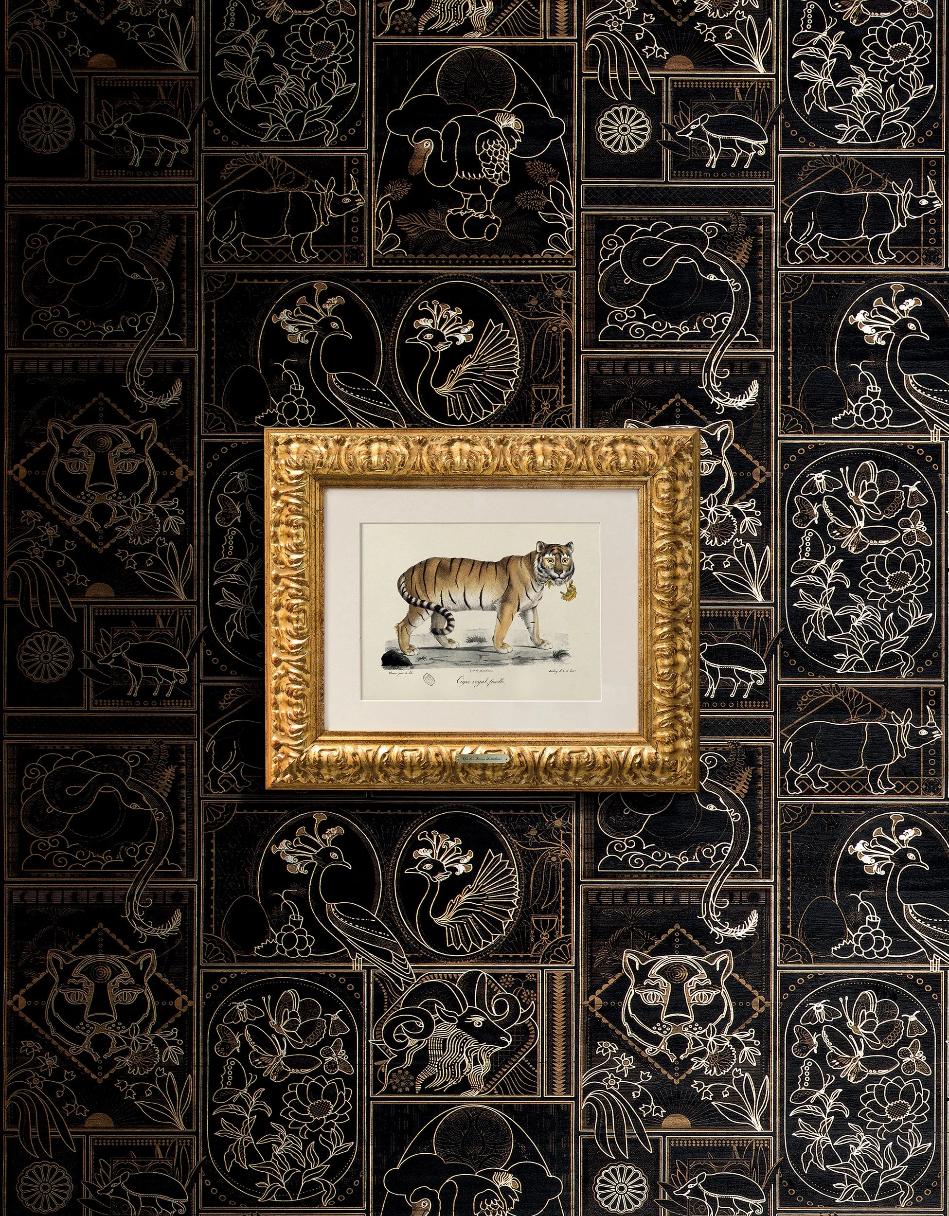Golden tiger, Memento Moooi Medley, Extinct Animals family, illustration and visual identity by Automne Studio.