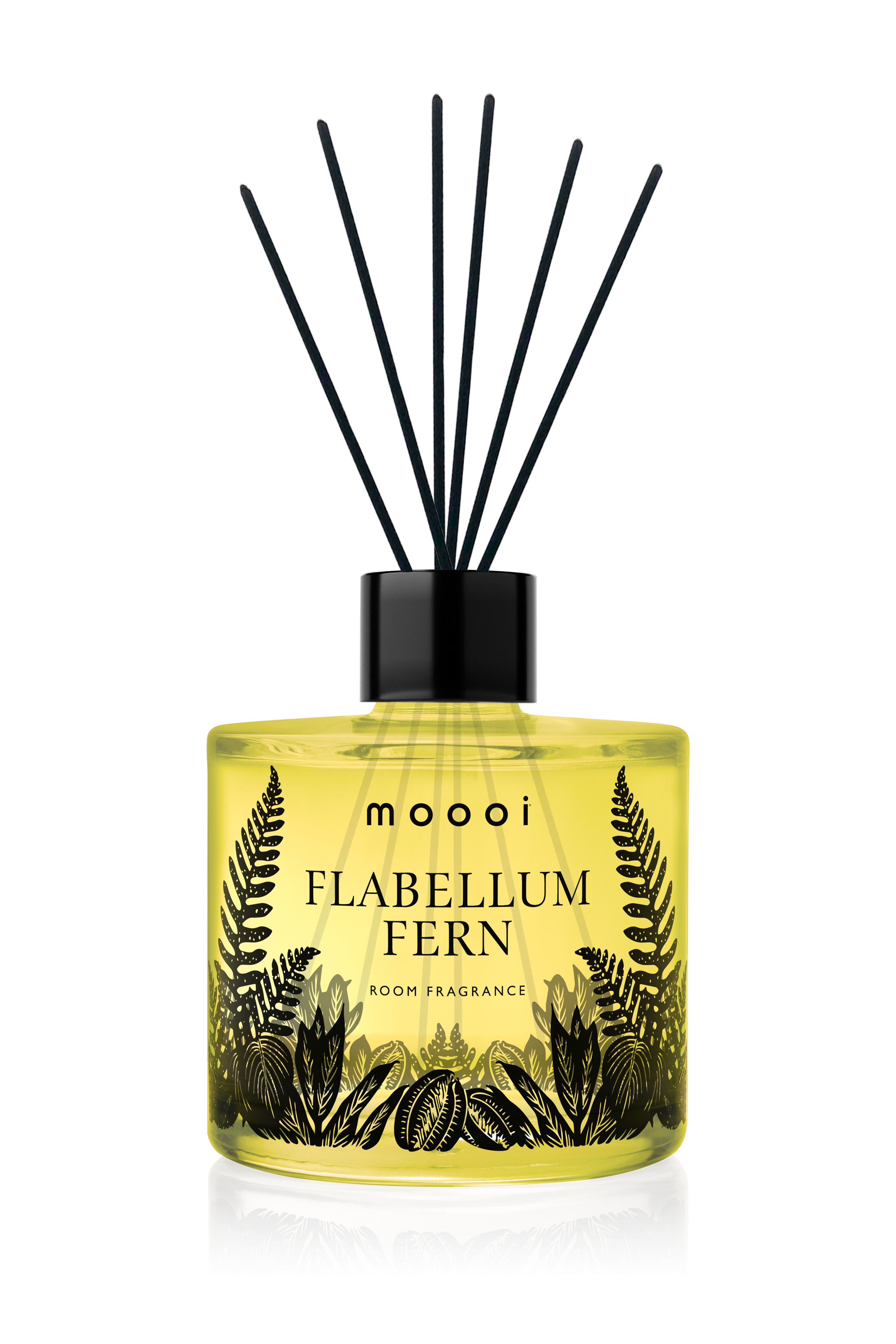 Moooi Flabellum Fern fragrance bottle diffuser, Extinct Plants Home Fragrance Collection by Moooi, illustration, packaging and visual identity by Automne Studio.