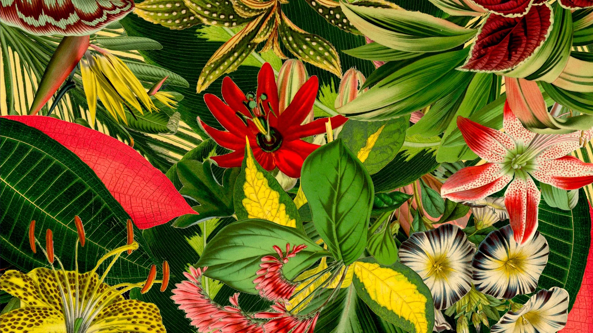 Pattern of Herbarium of Extinct plants by Moooi Carpets, pattern design and illustration project by Automne Studio.