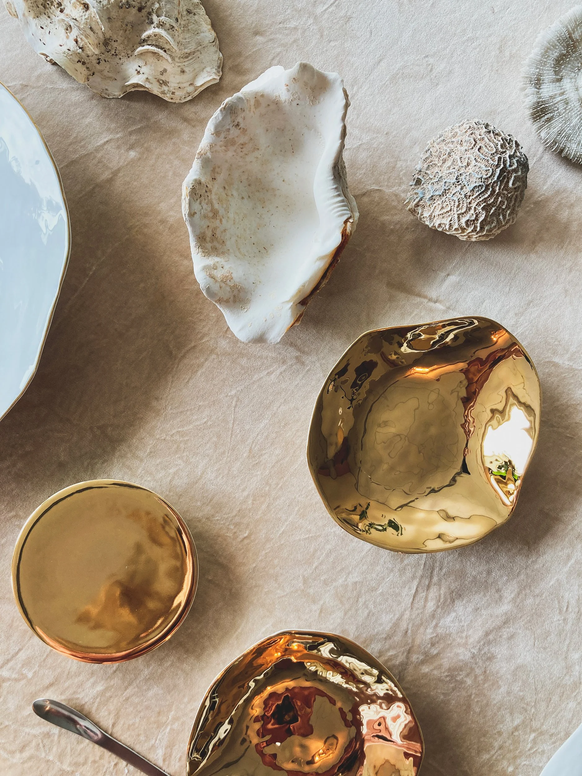 Overhead arrangement of seashells, coral, white indulge plates, and reflective gold Indulge plates, Sarah-Linda, sensual tableware, branding, web design and editorial project by Automne Studio.