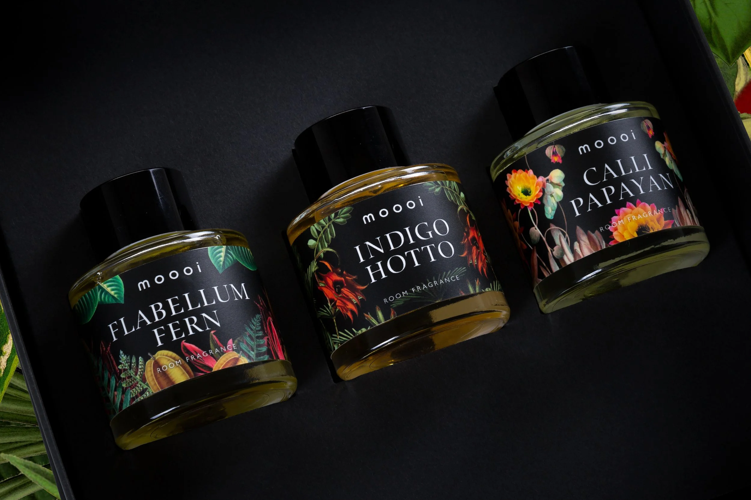 Three fragrance bottle labeled Flabellum Fern, Indigo Hotto, and Calli Papayan, Extinct Plants Home Fragrance Collection by Moooi, illustration, packaging and visual identity by Automne Studio.