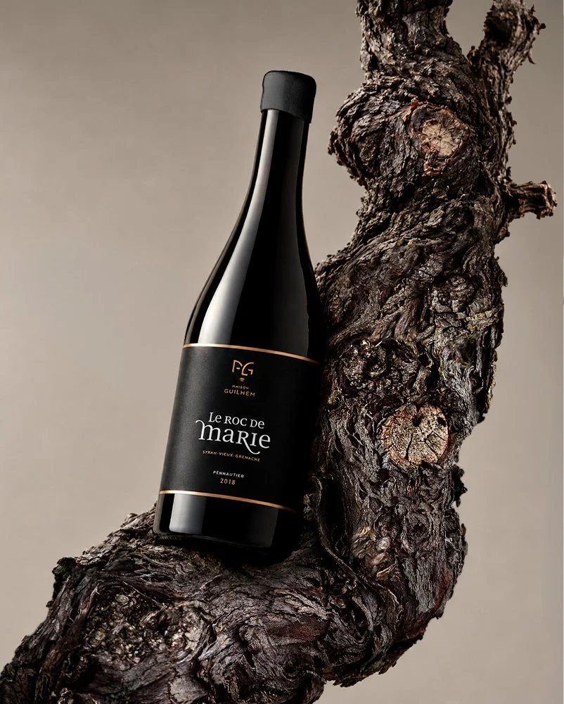 Black bottle of Le Roc de Marie red wine on a grapevine trunk, Maison Guilhem, French vineyard, branding and editorial project by Automne Studio.