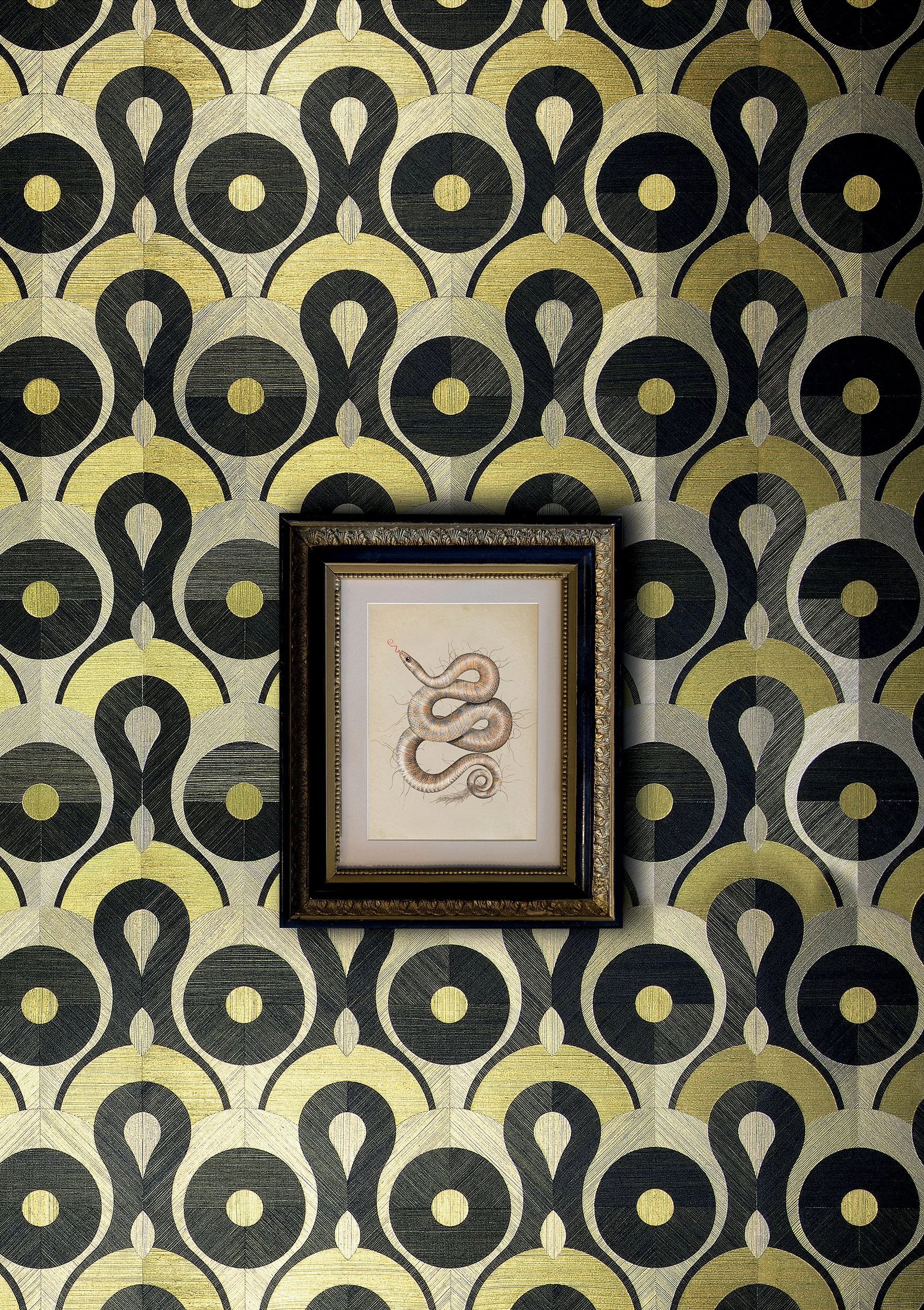 Queen Cobra, Memento Moooi Medley, Extinct Animals family, illustration and visual identity by Automne Studio.