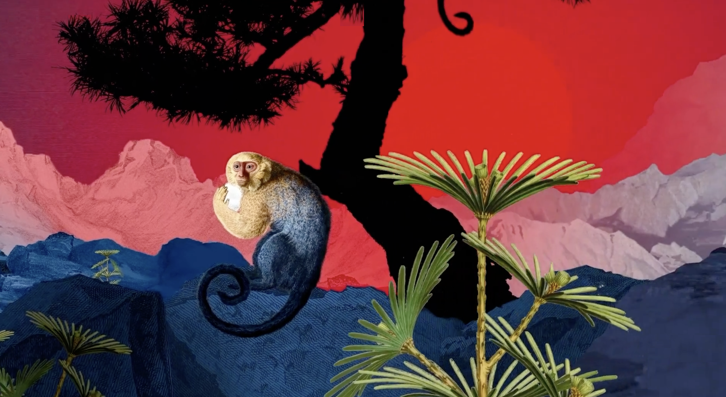 automne-studio-moooi-extinct-plants-illustration-branding-video-01-thumbnail.png