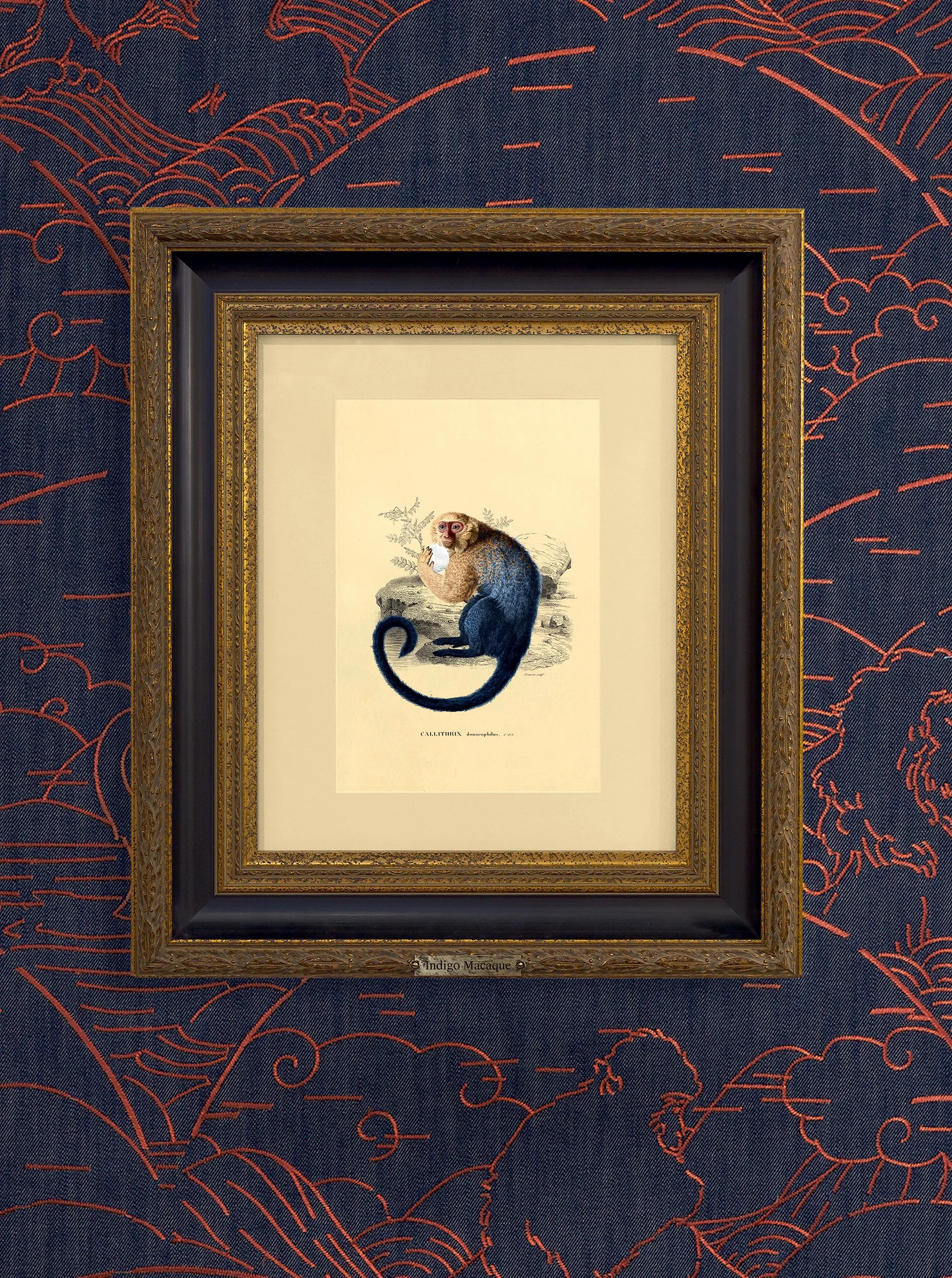 Framed vintage illustration of an indigo macaque monkey surrounded by dark blue fabric with orange botanical patterns
