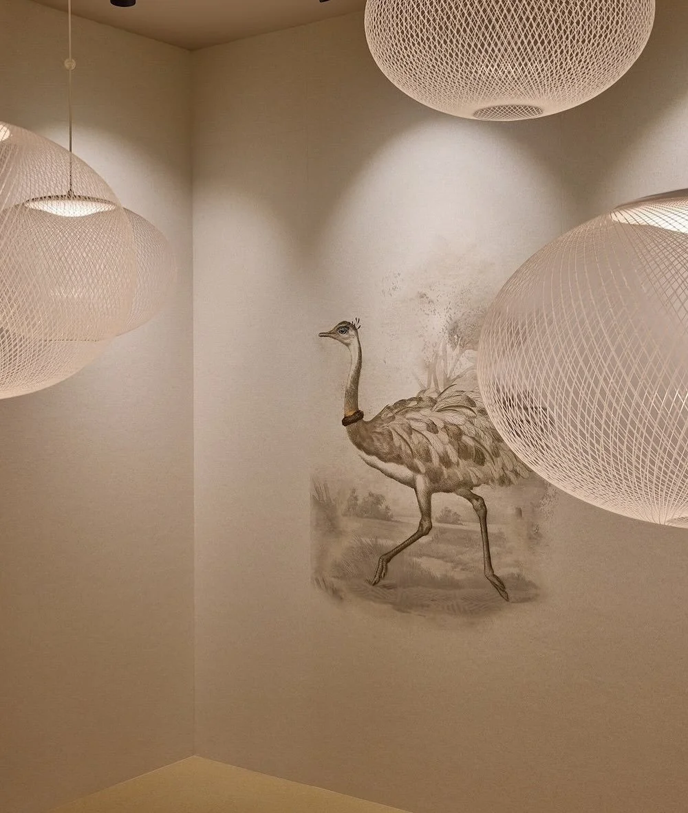 Reiki Rhea, The Nesting Room, Extinct Animals family, illustration and visual identity by Automne Studio.