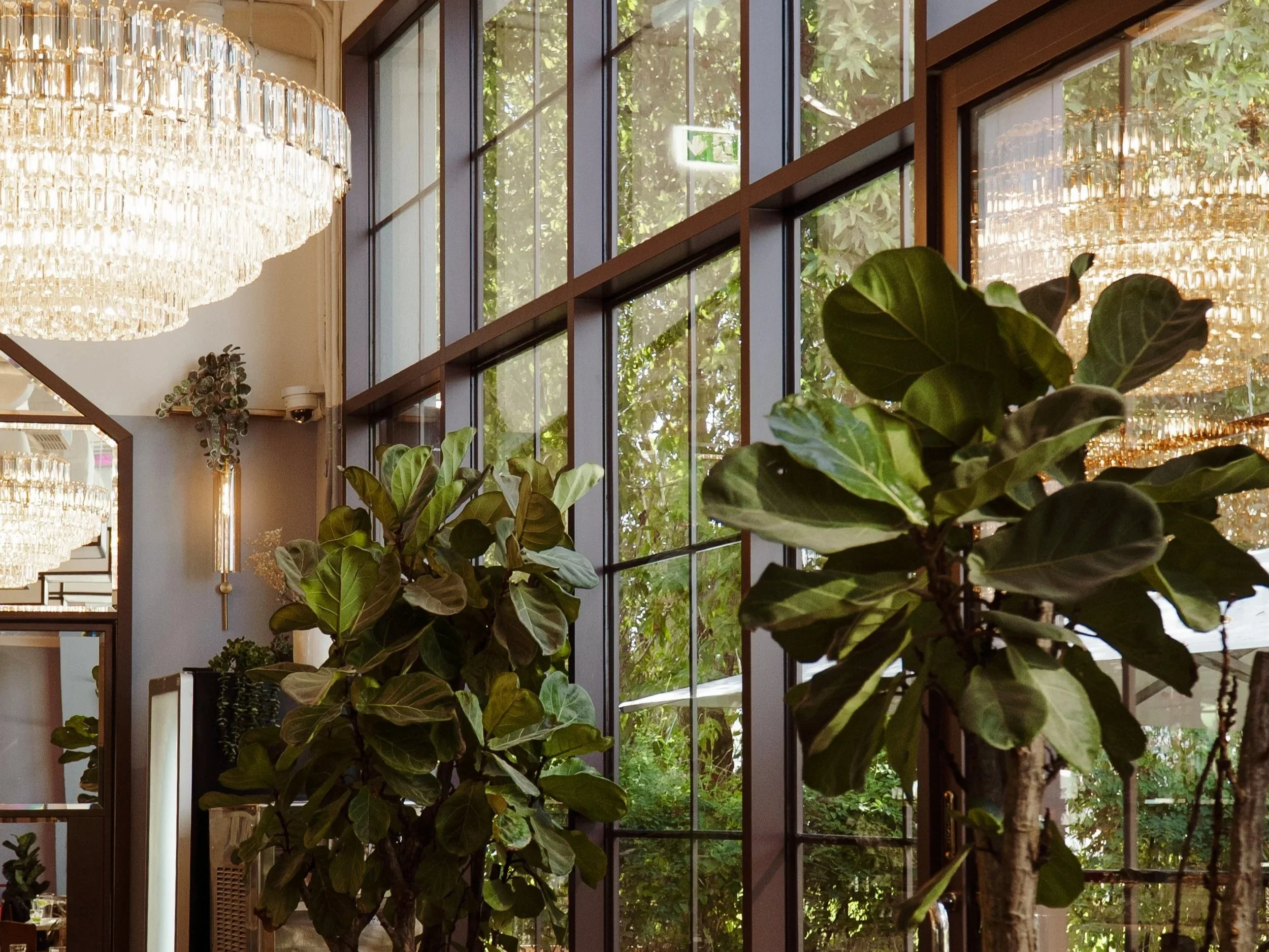 InteriorCornerChandelierPlants.jpg