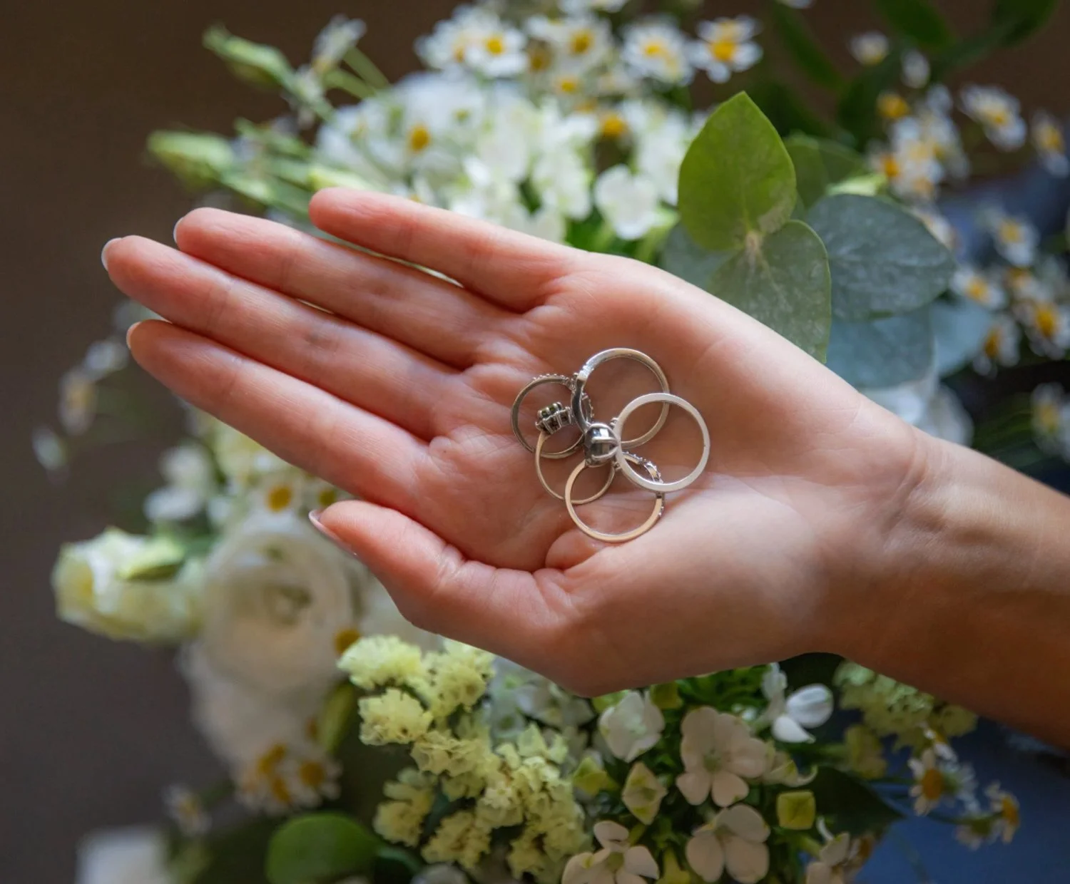 A person's hand holding silver rings on a background of white and yellow flowers with green leaves.