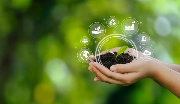 istockphoto-1392287714-612x612.jpg