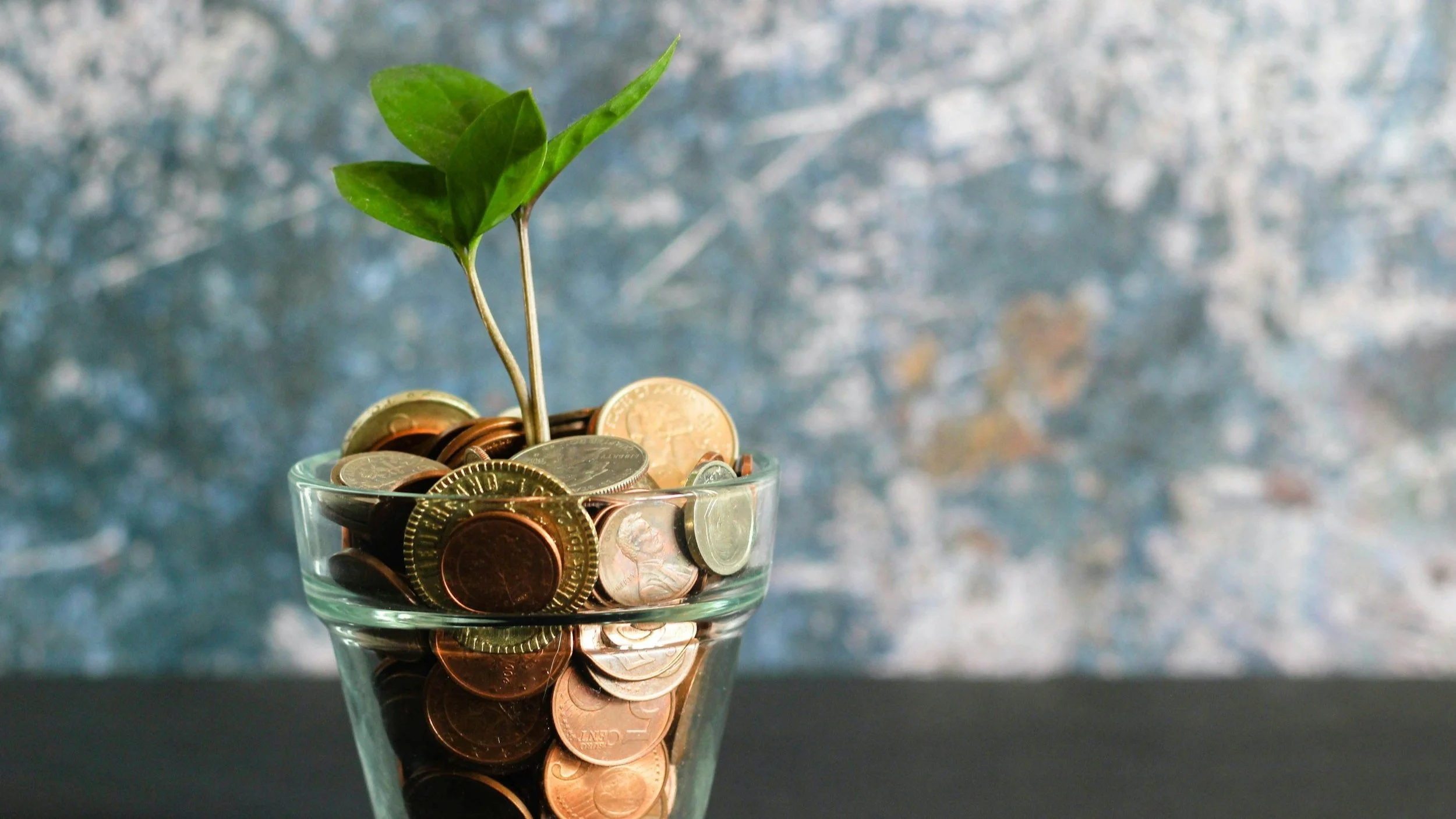 TPM Budget Pressures