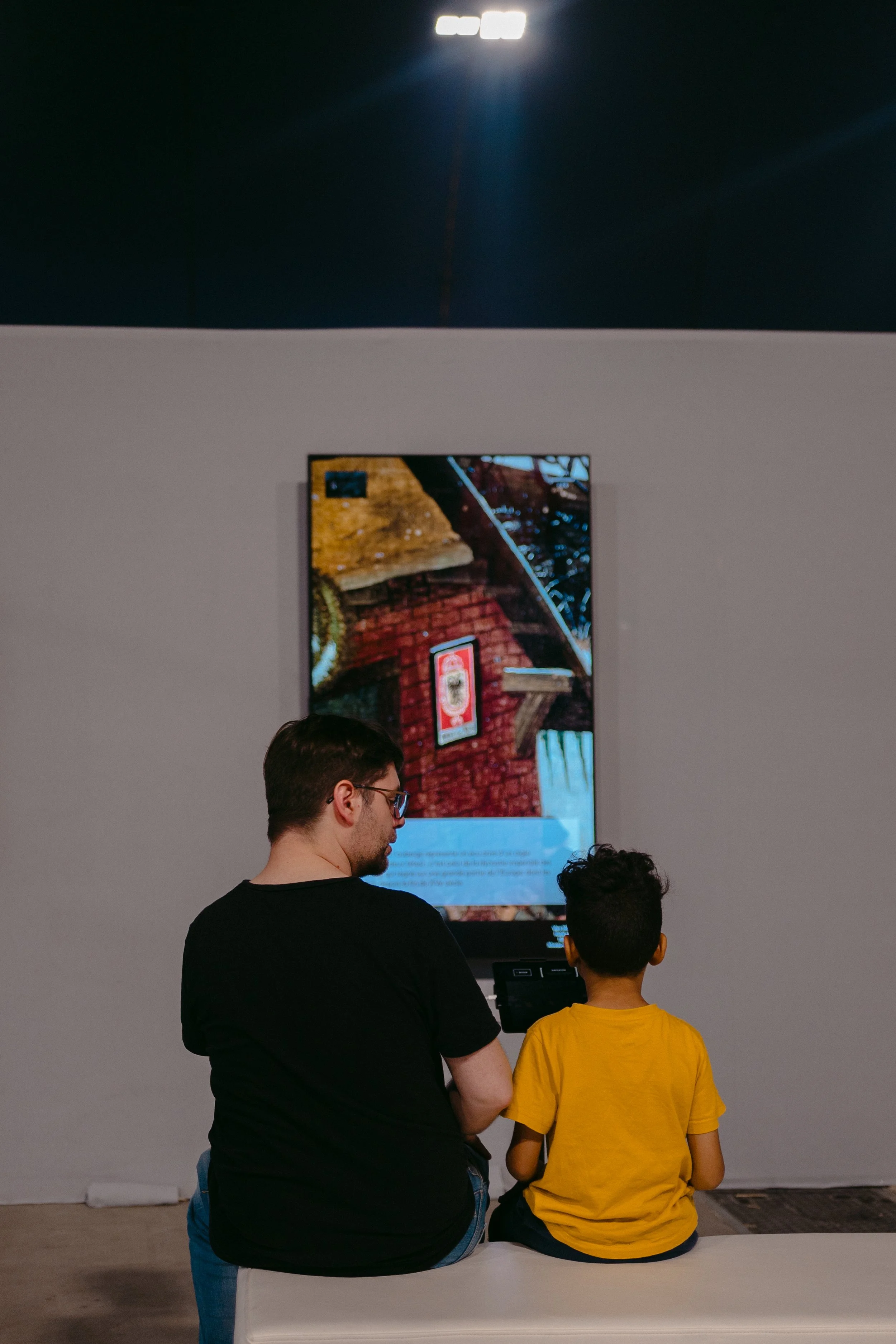 Palais des Beaux Arts de Lille, Gigapixels