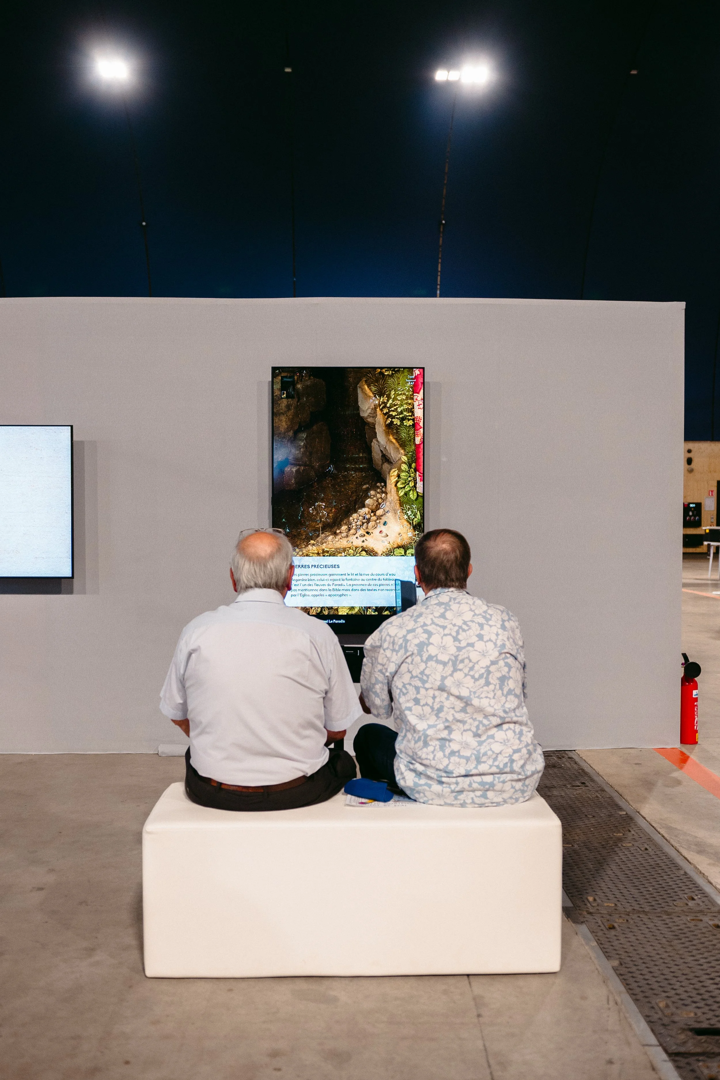 Palais des Beaux Arts de Lille, Gigapixels