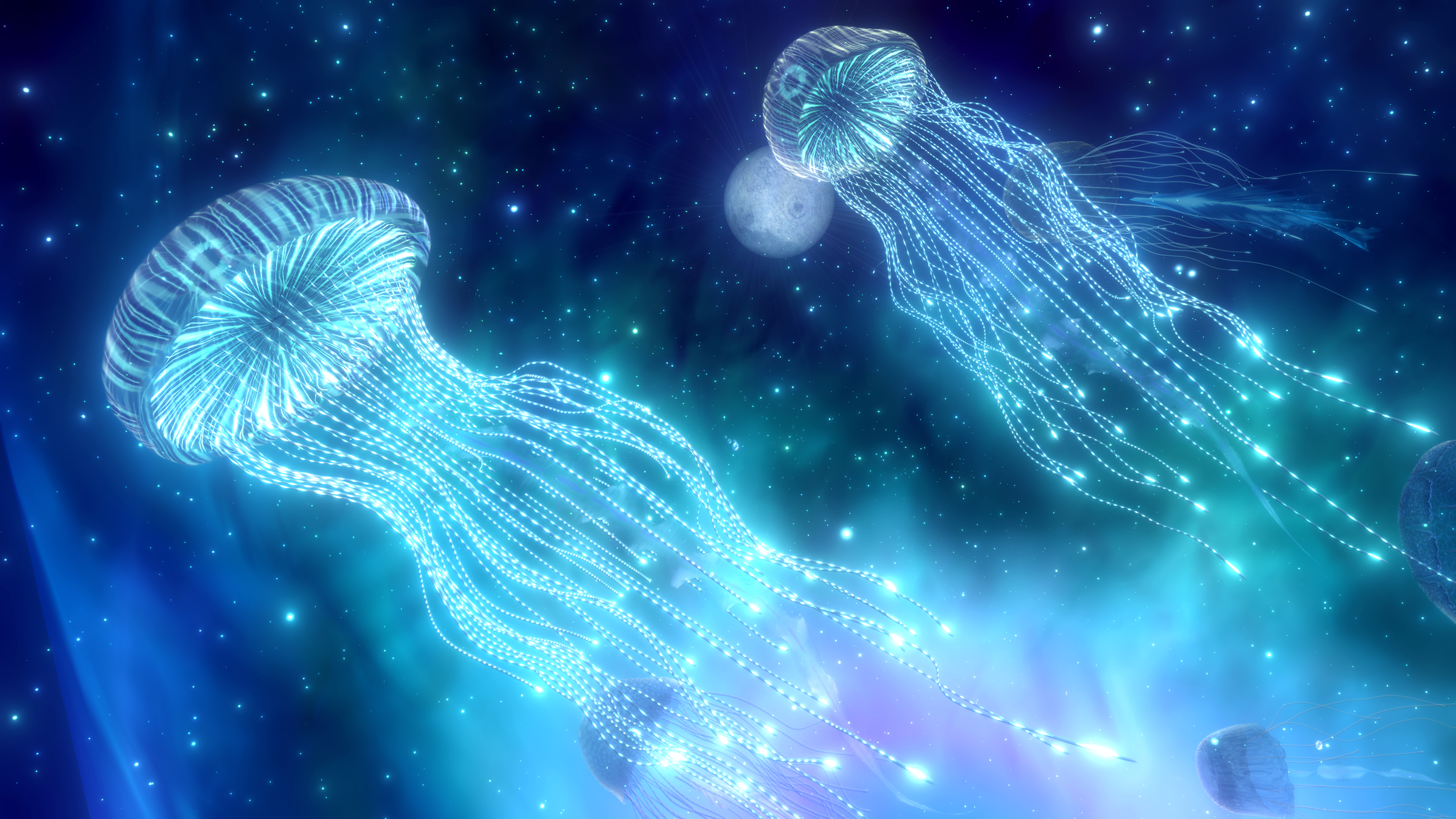 The Jellyfish, Mélodie Mousset and Edo Fouilloux