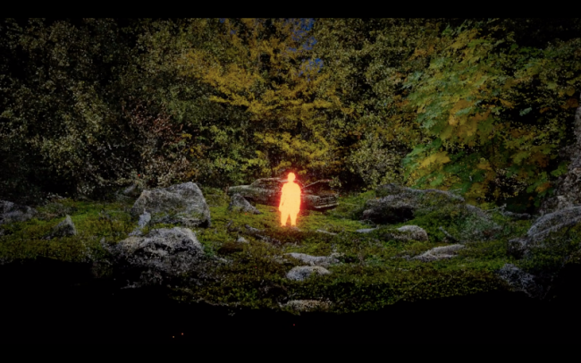 What is left of Reality ?, Pierre Zandrowics, Ferdinand Dervieux