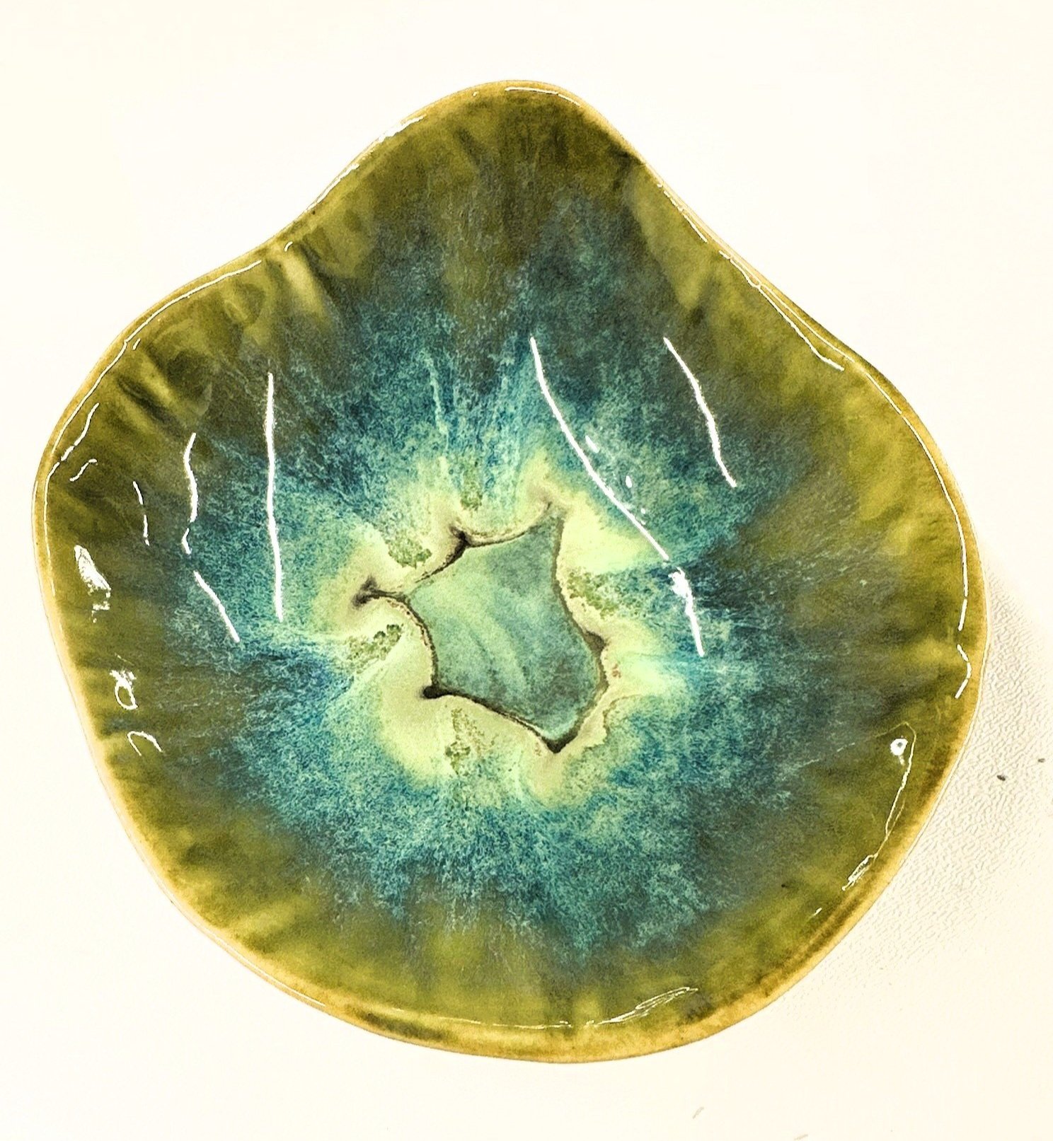 Lizette Terral Pottery Artist Close-up of a sliced kiwi fruit showing green flesh with black seeds and a small hole in the center.
