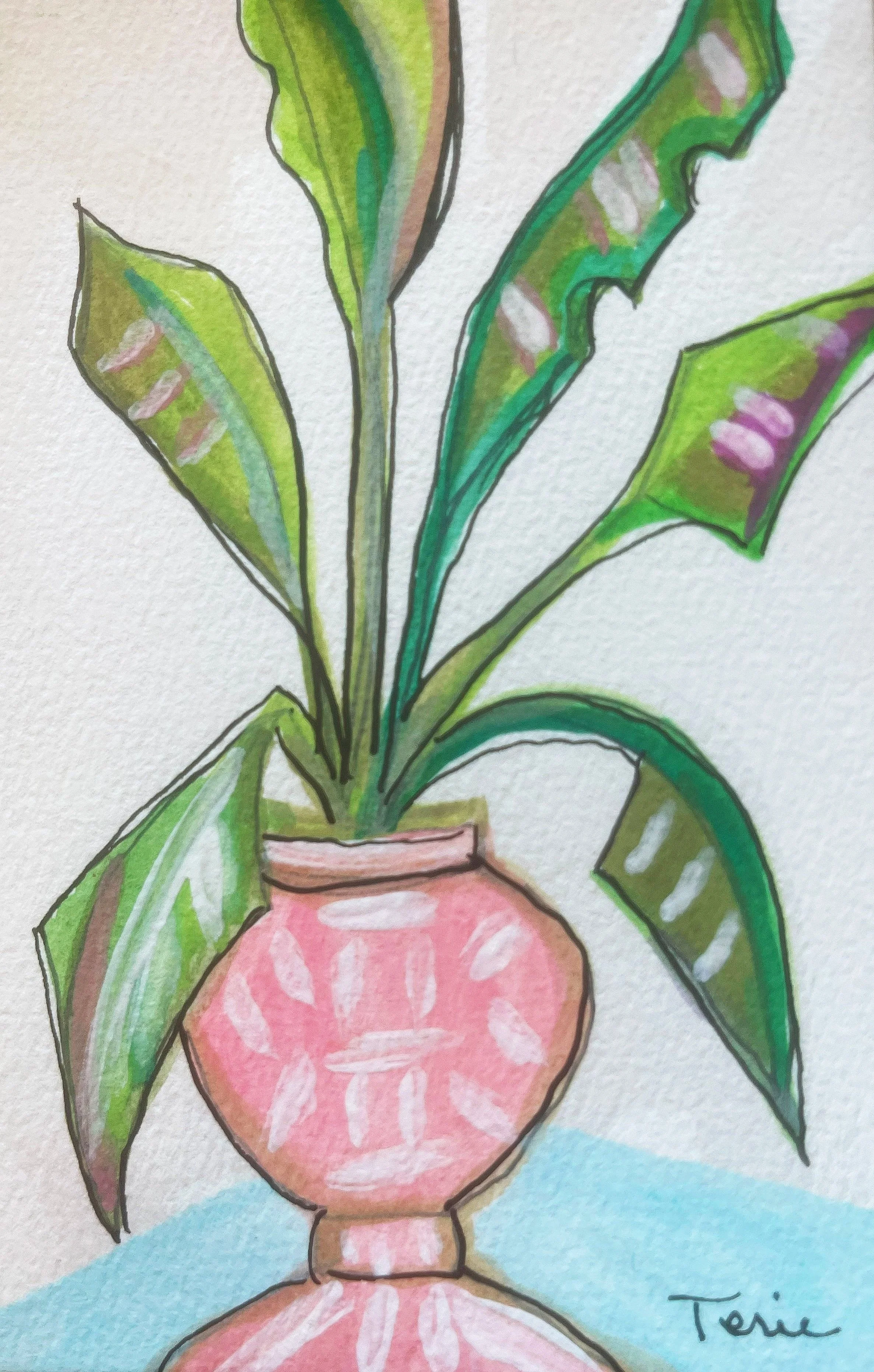 Colorful illustration of a potted plant with large green leaves, signed 'Terie' in the bottom right corner.