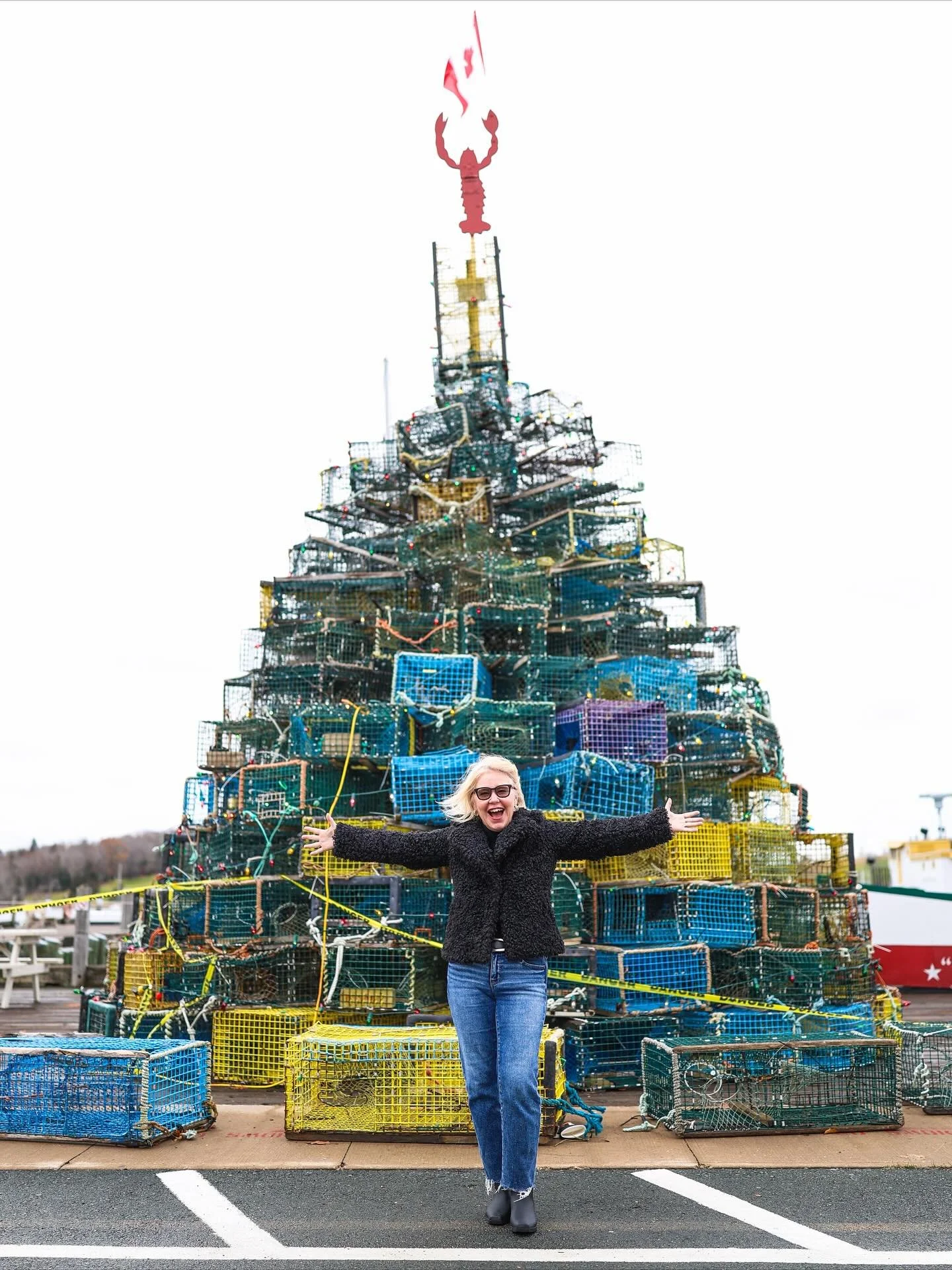 Did you know Nova Scotia&rsquo;s Lunenburg County is considered the Balsam Fir Christmas Tree Capital of the World? 🎄✨
 Our cool, coastal climate grows the lush, fragrant balsam firs that fill homes across North America each holiday season &mdash; m