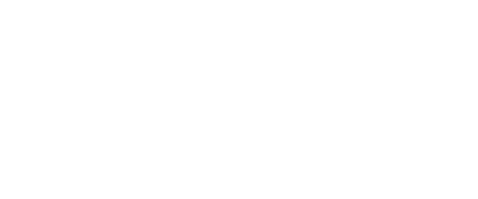 Orca Intelligence