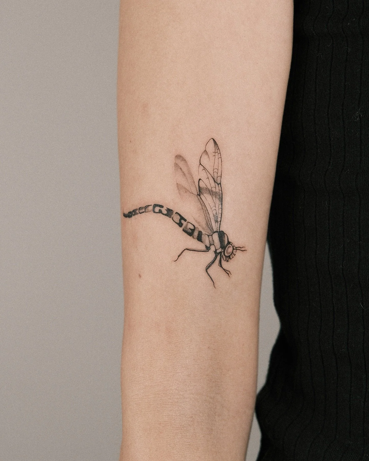 Libellen-Schwarm

(different versions of a Wannado and a another perspective)

#dragonfly #dragonflytattoo #finelinetattooartist #hamburgtattoo