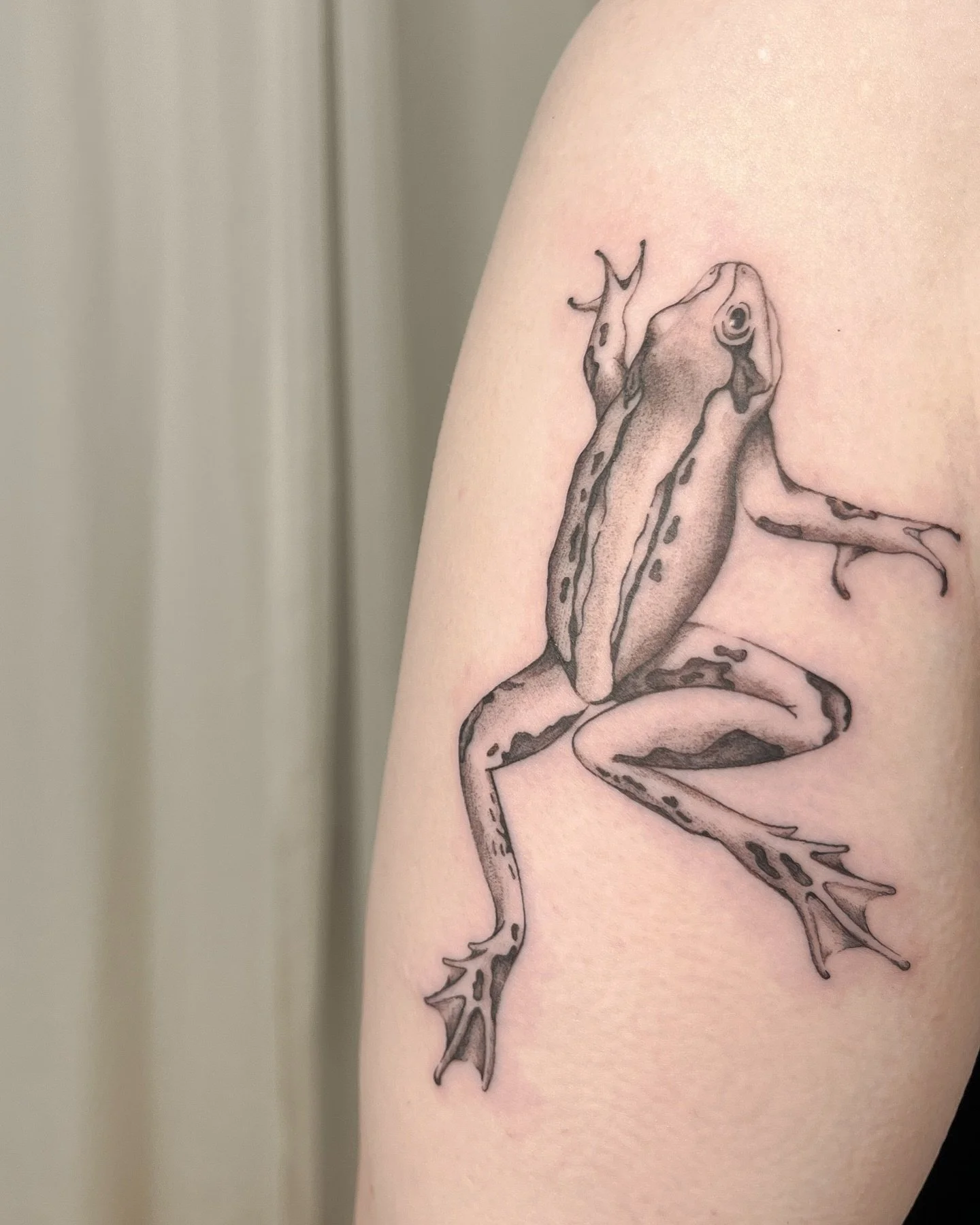 frog!

remember that every body is different and redness is absolutely normal :) swipe right to see the unfiltered result. 

(new version of existing Wannado)

#frogtattoo #frog #finelinetattooartist #hamburgtattoo