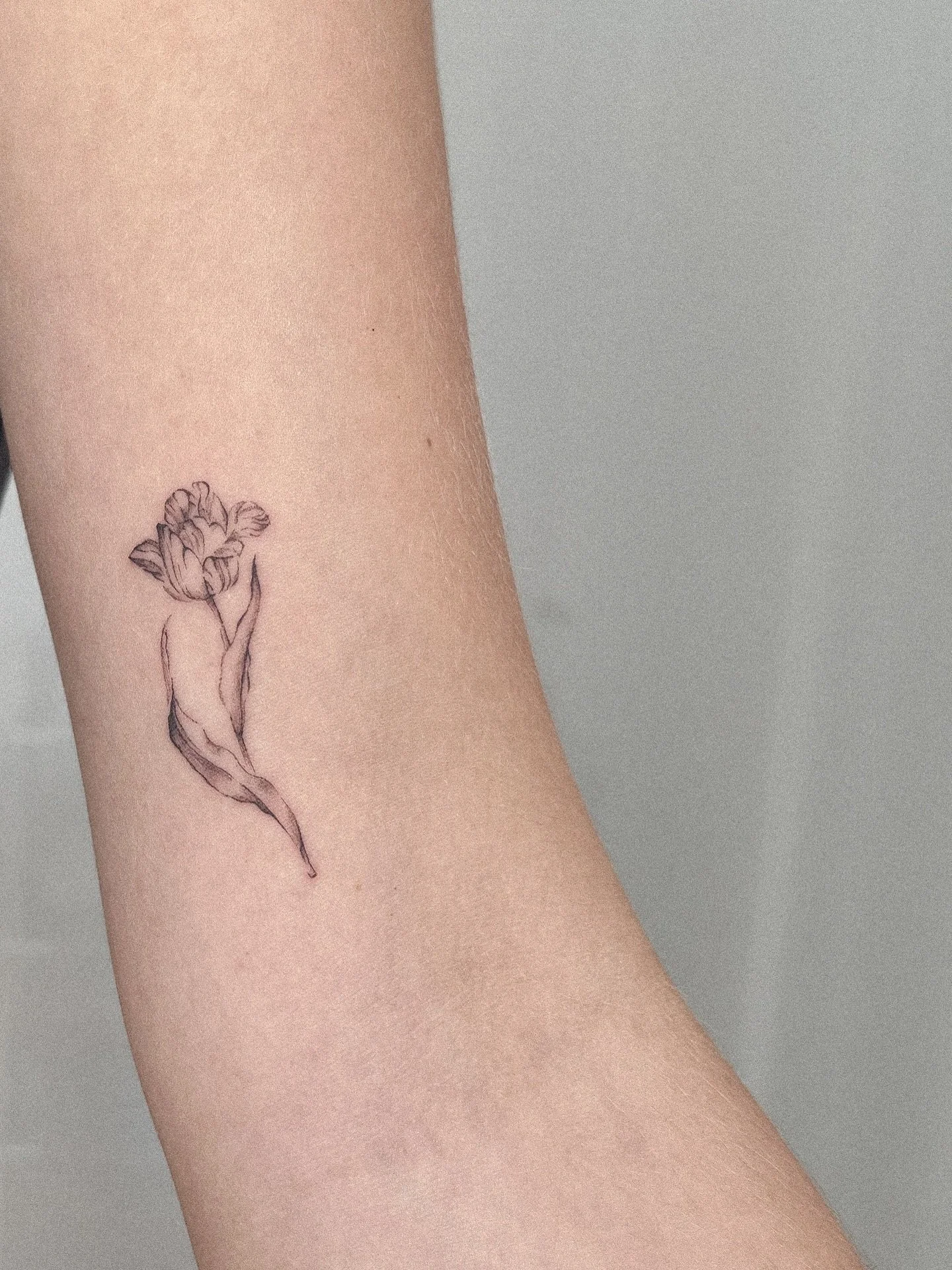 Tulpen

#tulips #tuliptattoo #hamburgtattoo #finelinetattooartist