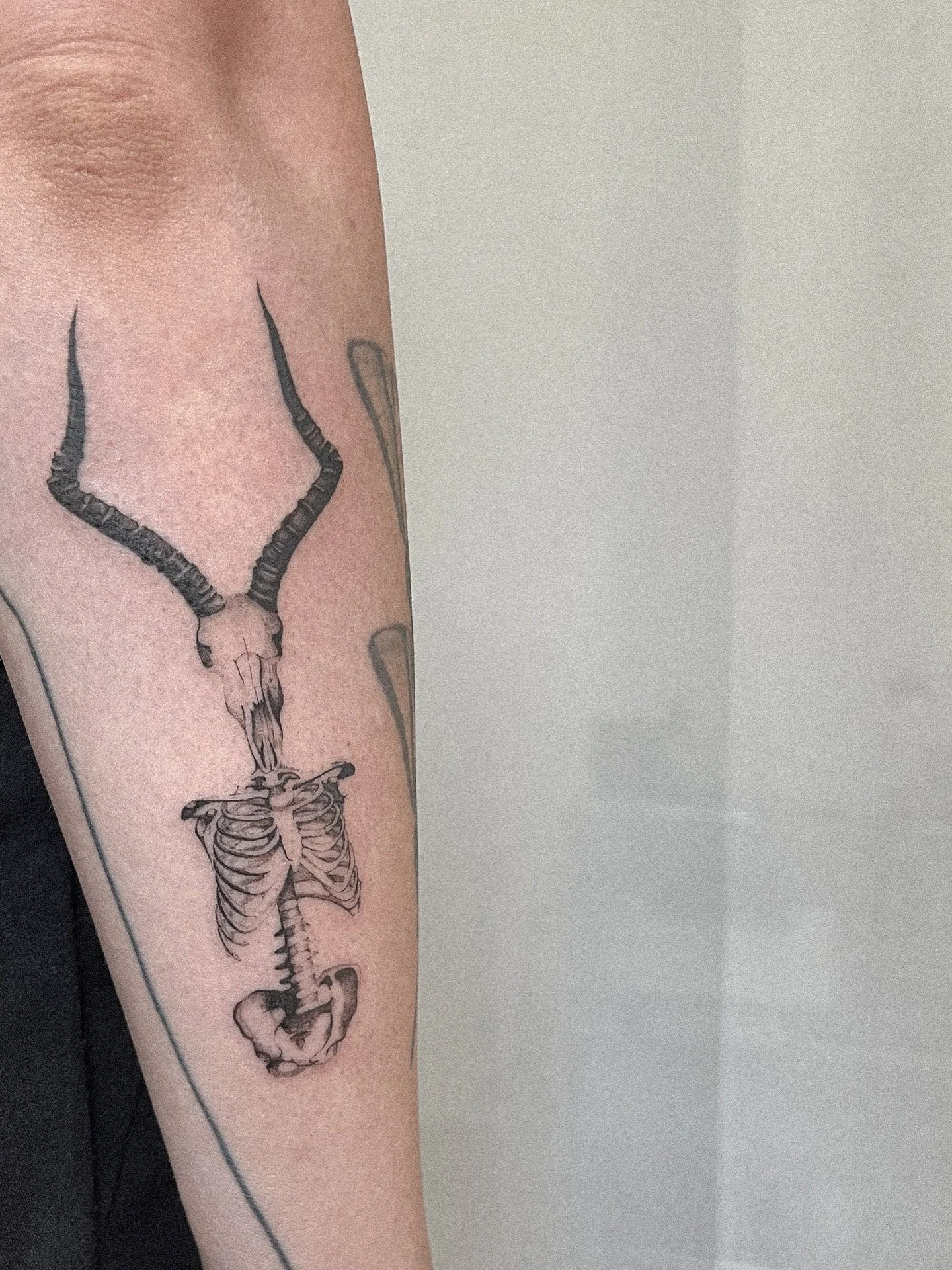 Wesen 

(Wannado)

#hamburgtattoo #surrealism #surrealismtattoo #finelinetattooartist
