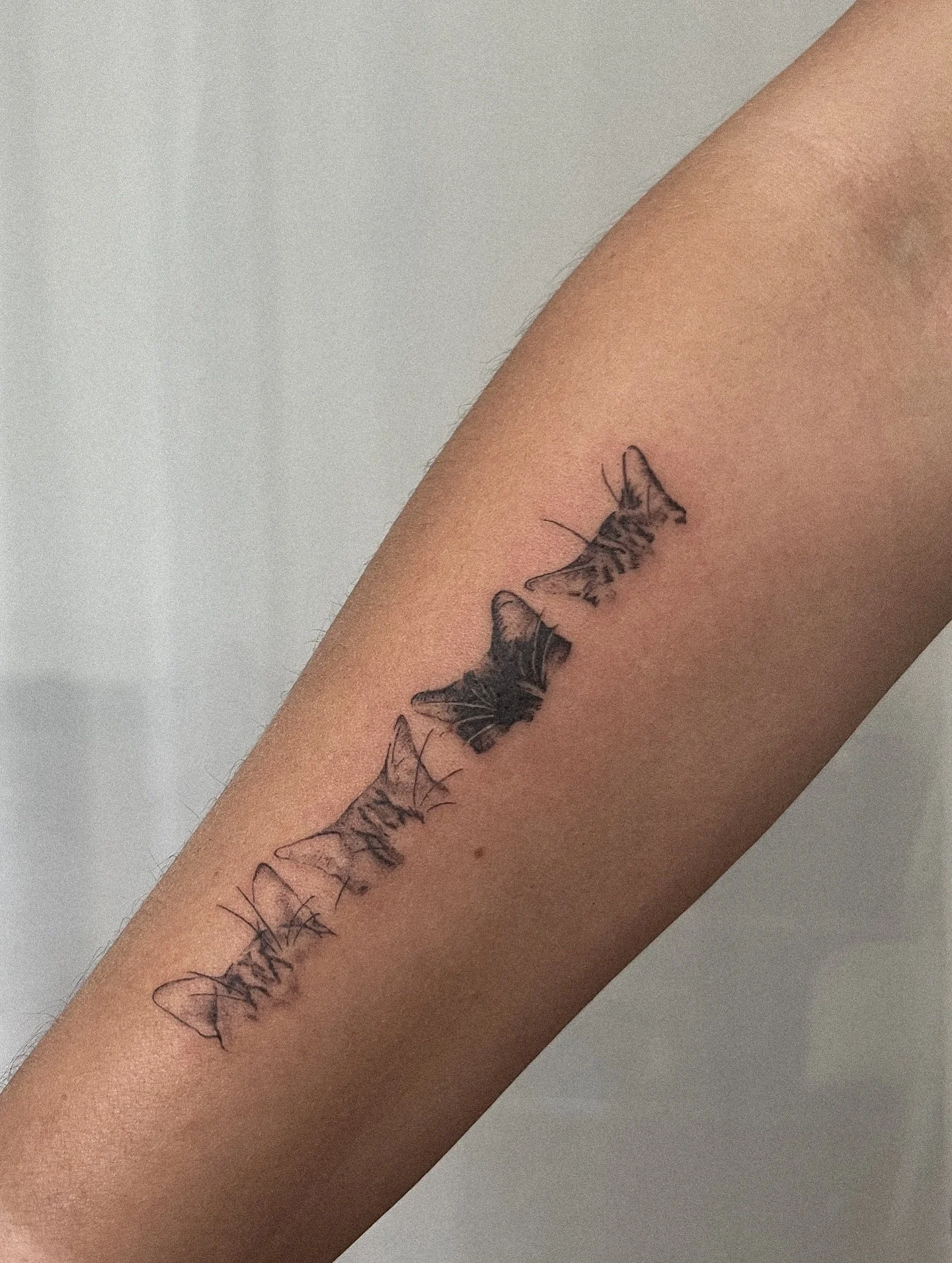 Katzenohren

#cat #cattattoo #hamburgtattoo