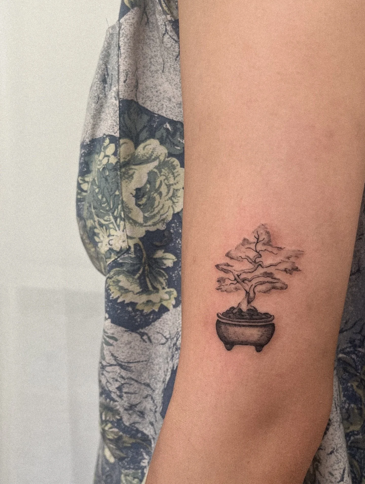 a tiny bonsai collection 🌳 

#bonsai #hamburgtattoo #finelinerart