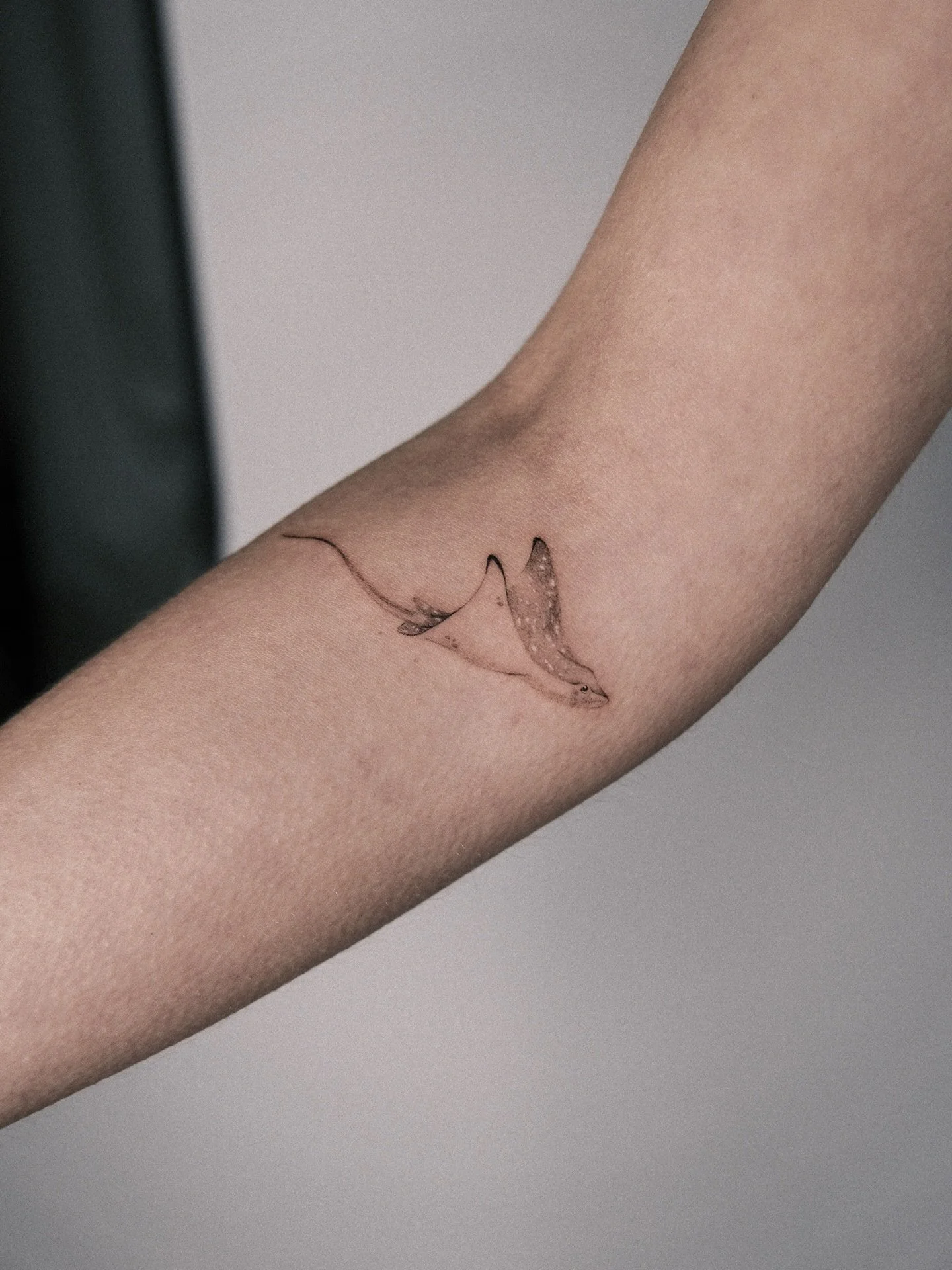 kleiner Rochen 

(bin leider so unstrukturiert im posten, deshalb kommt der etwas versp&auml;tet)

#ray #finelinetattoo #hamburgtattoo