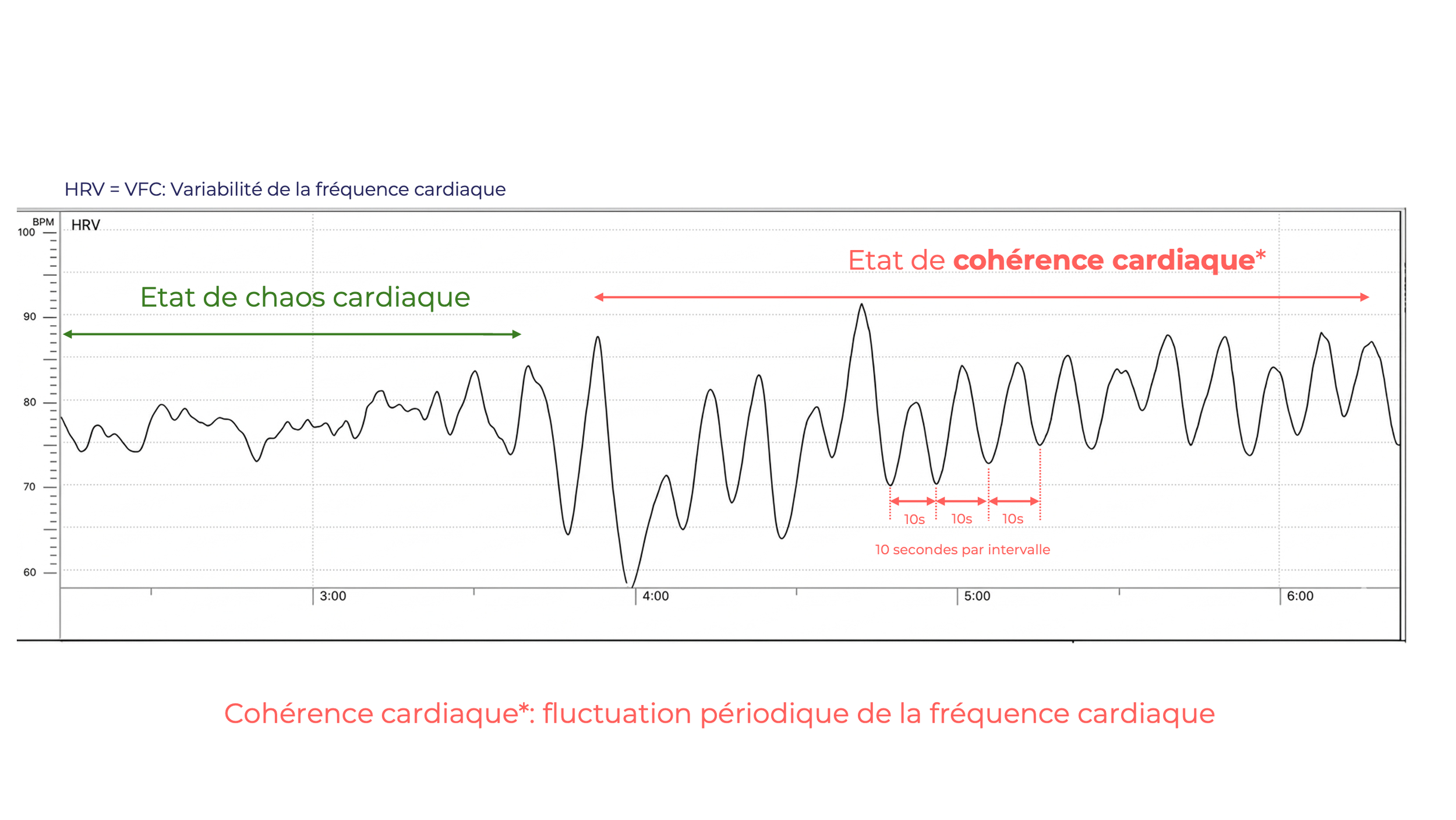 Comprendre la Cohérence cardiaque — Cohérence Cardiaque Paris