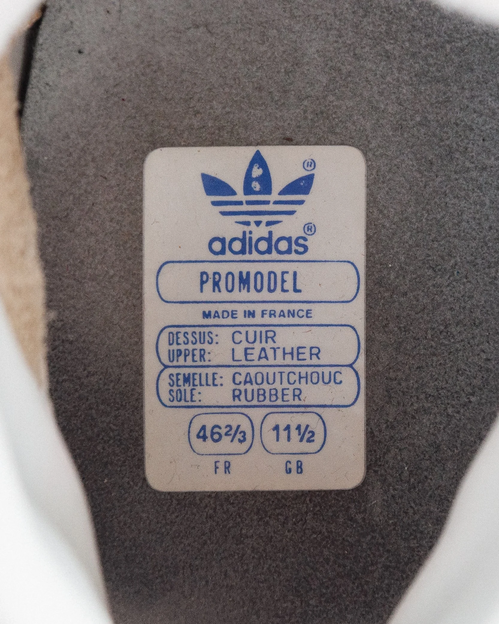 DSC_0545.jpg