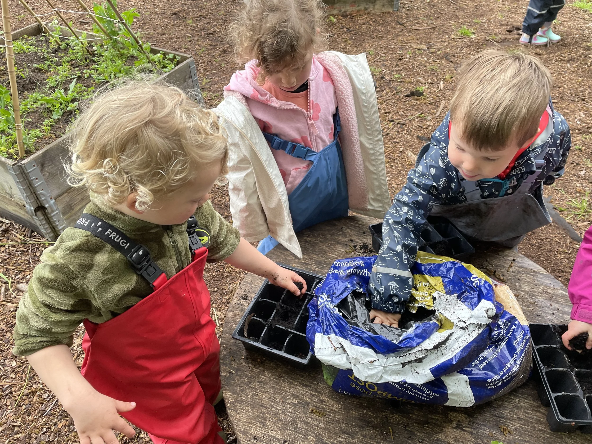 Harvesting seeds from last years marigolds-6.jpg