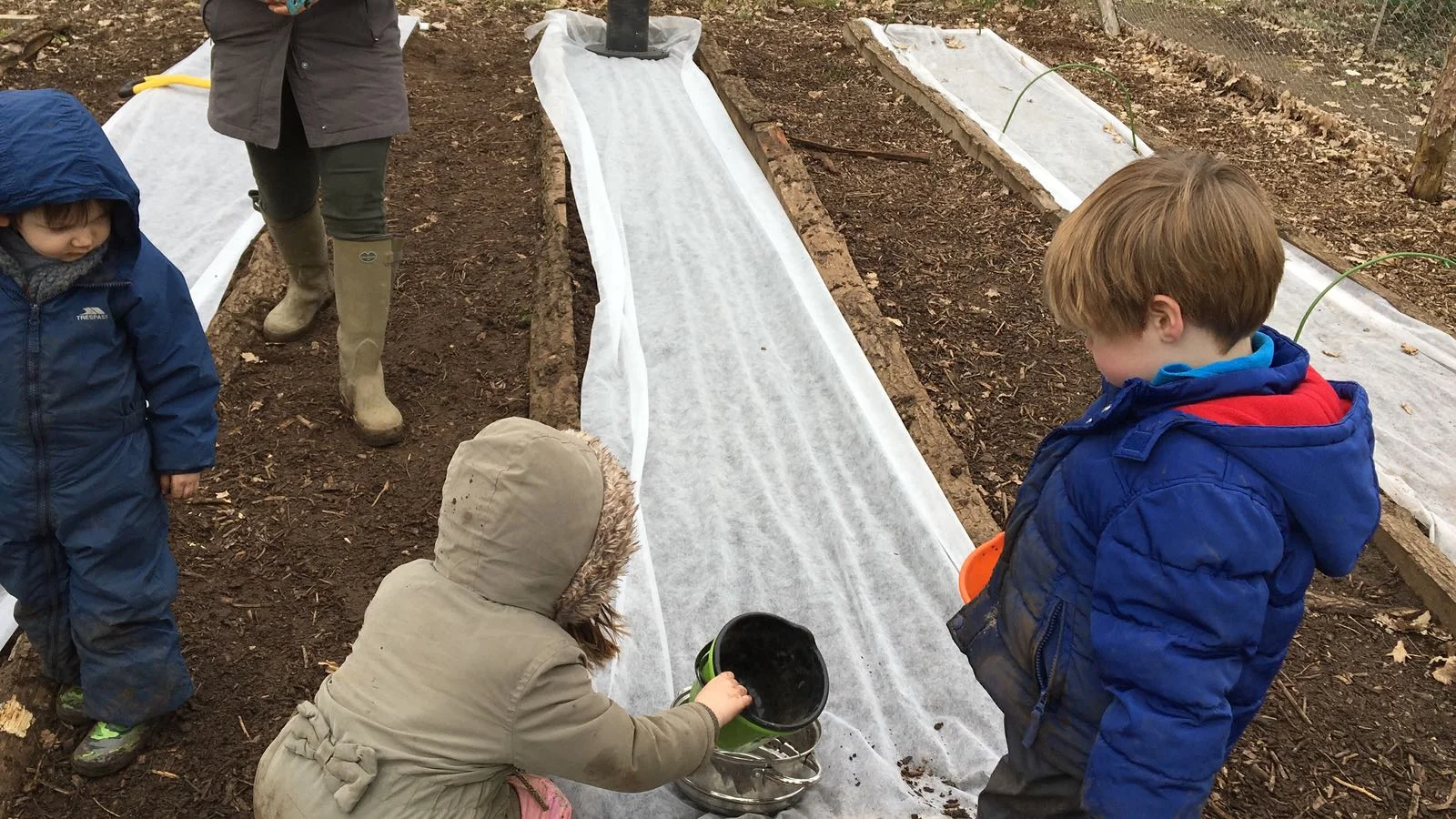 Prepping the allotment for Spring sowing