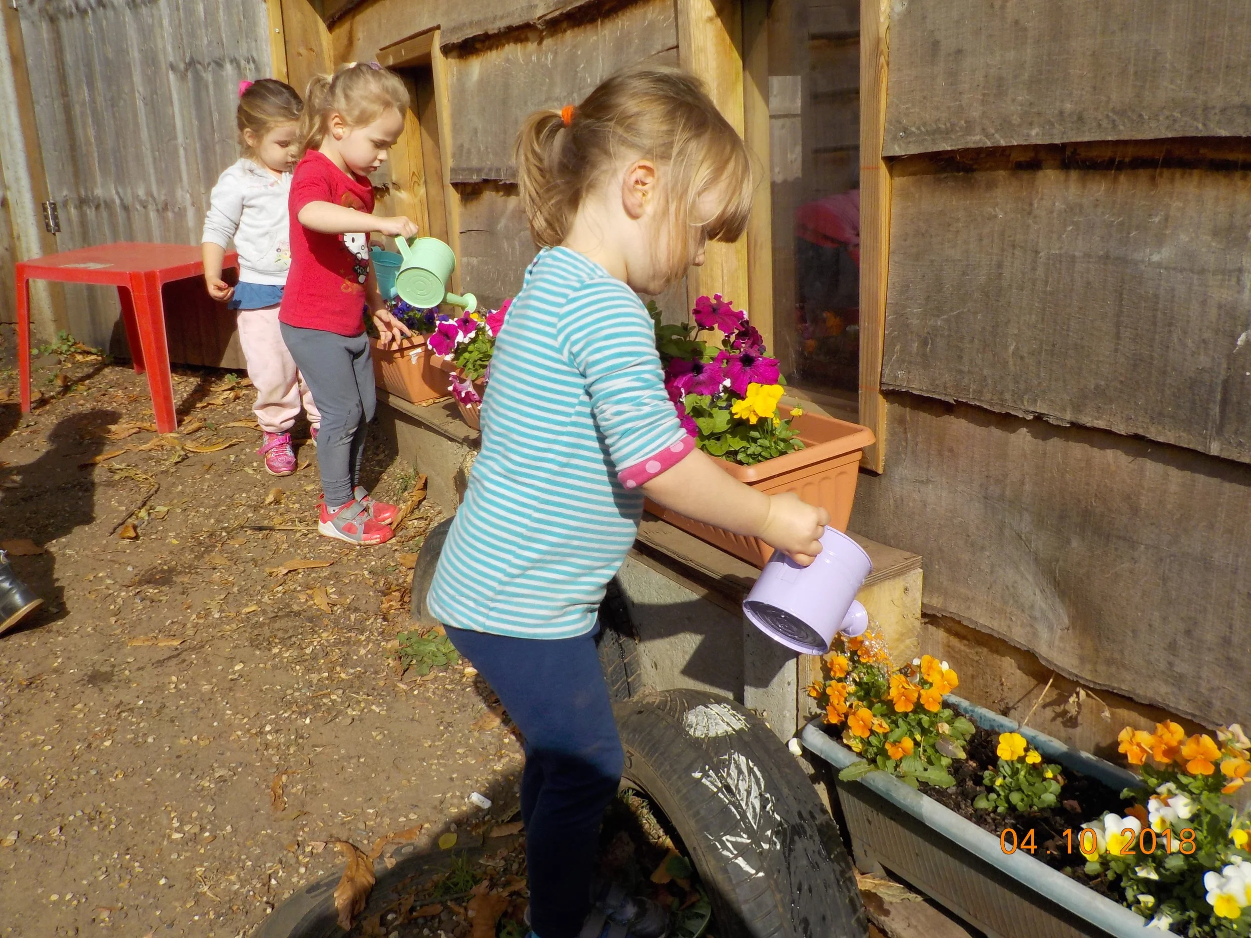 The window boxes are looking lovely this morning