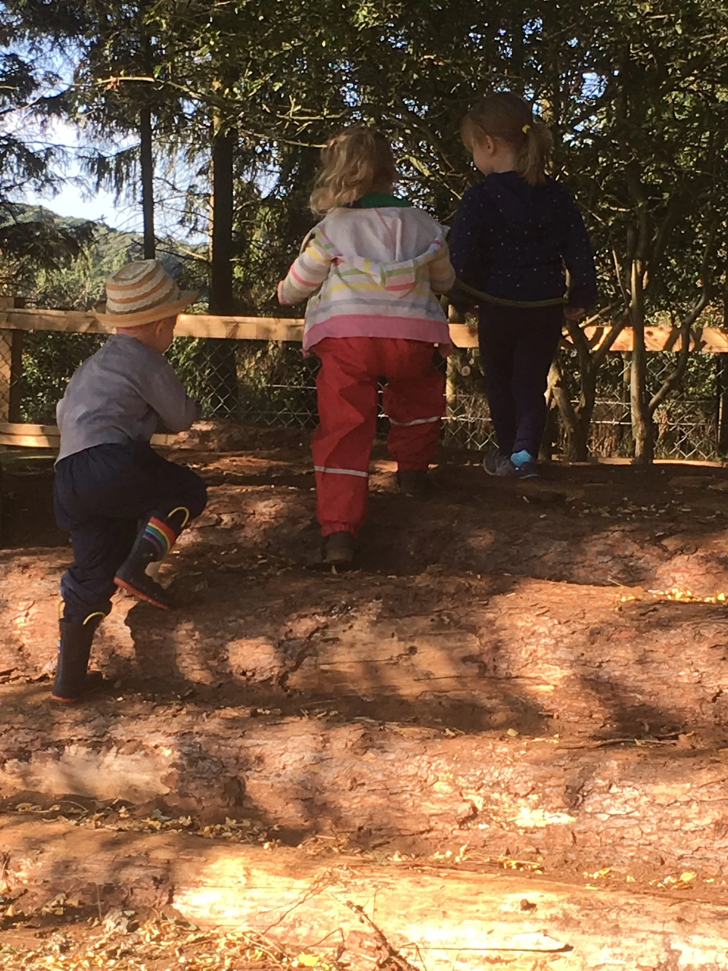 Our lovely outdoor 'playground'