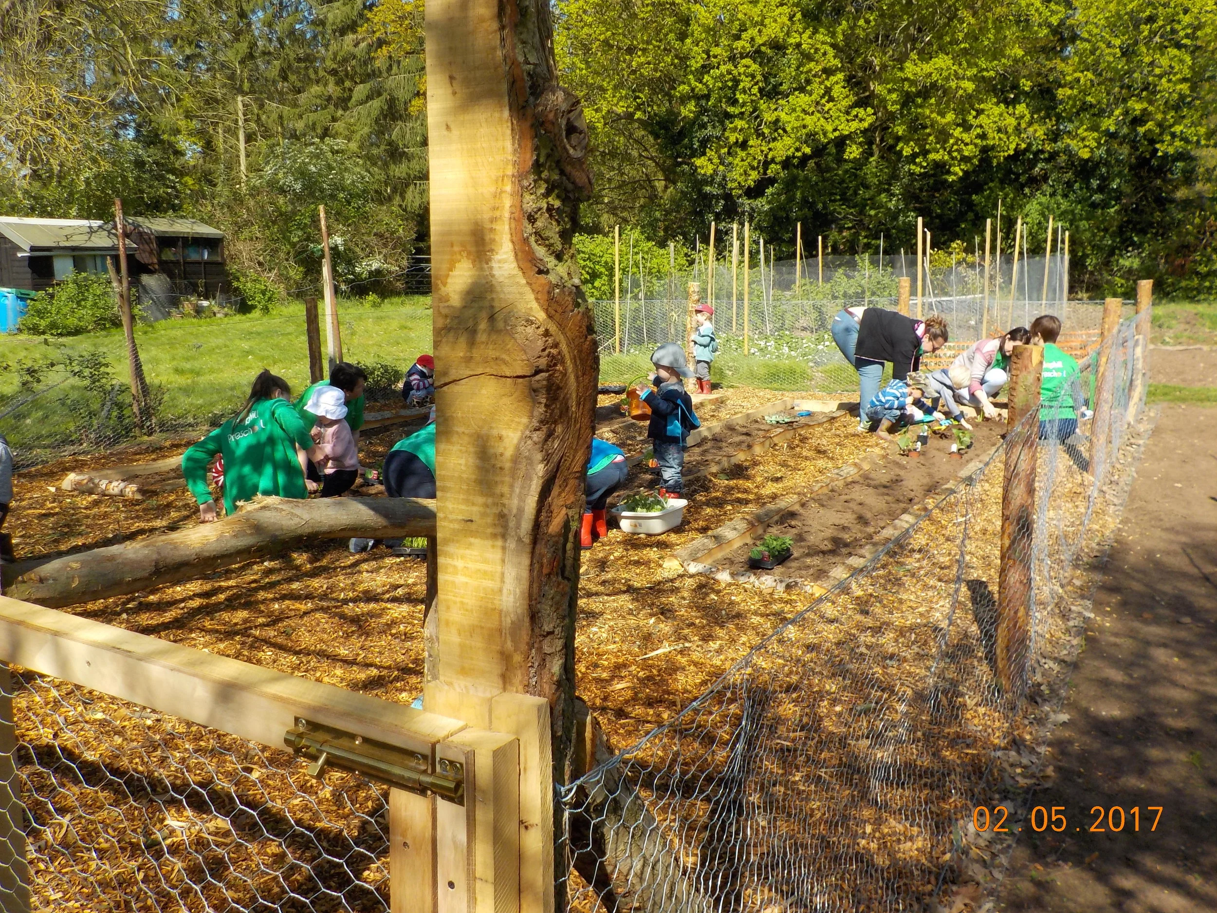 Teamwork at the allotment