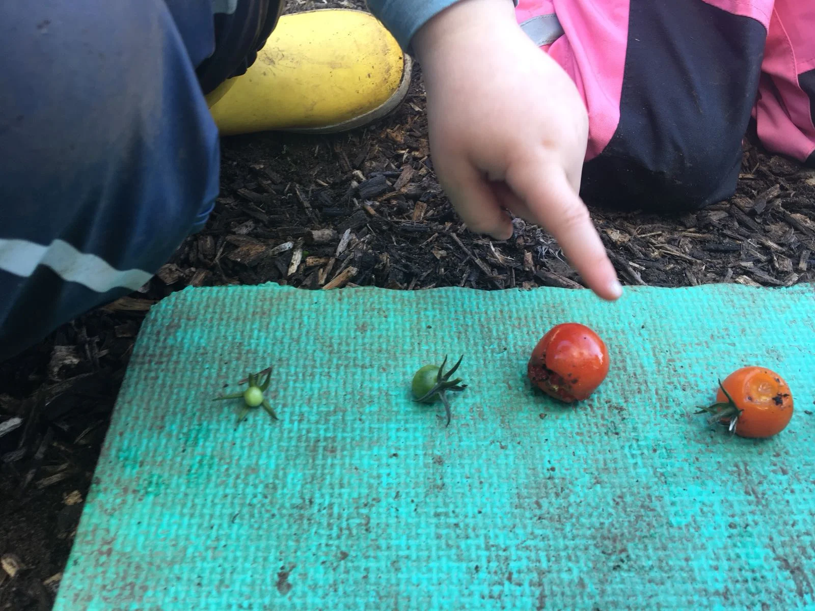 Maths the Clophill Preschool way