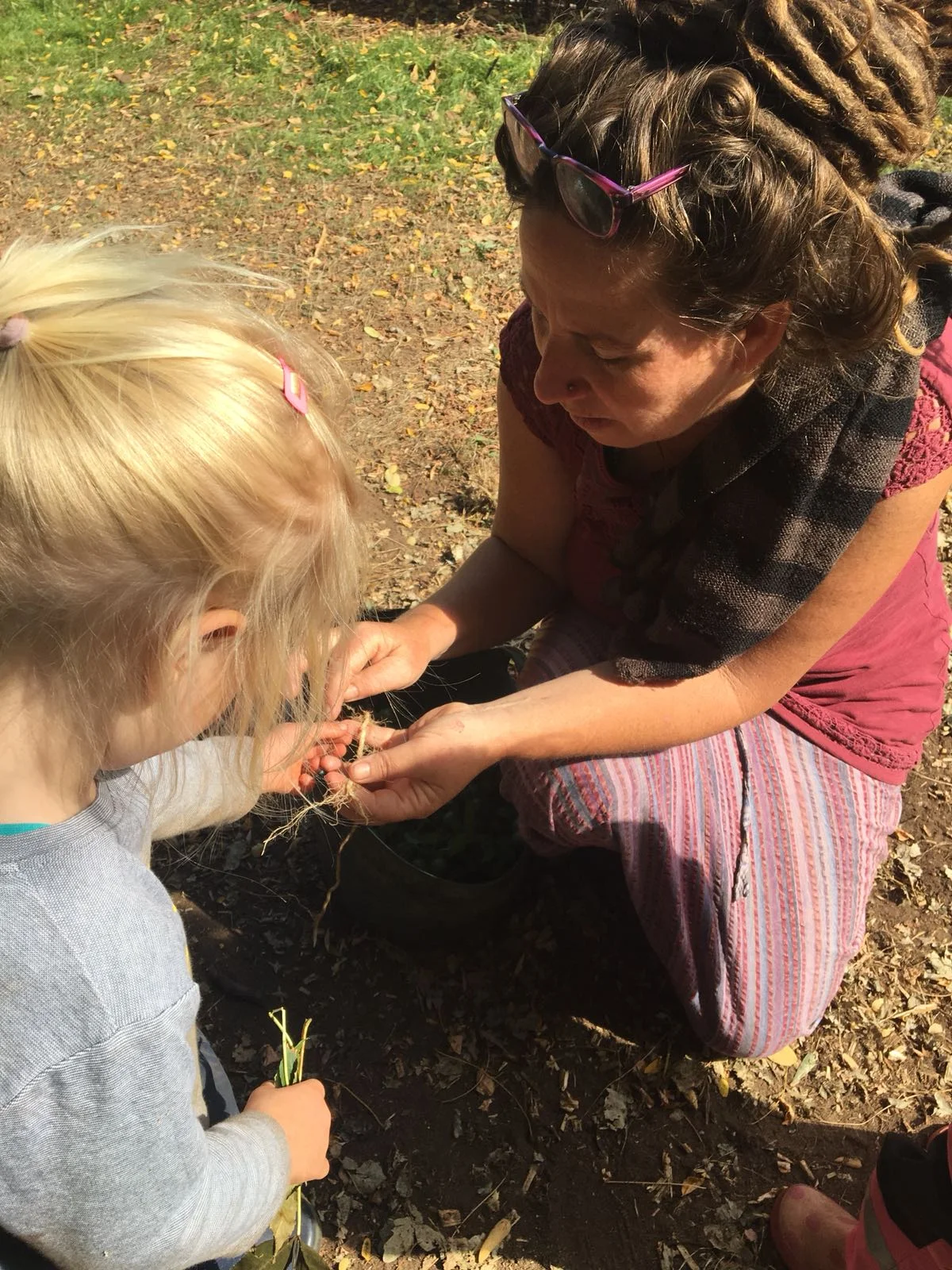 Investigating roots with Sue from The Clophill Centre