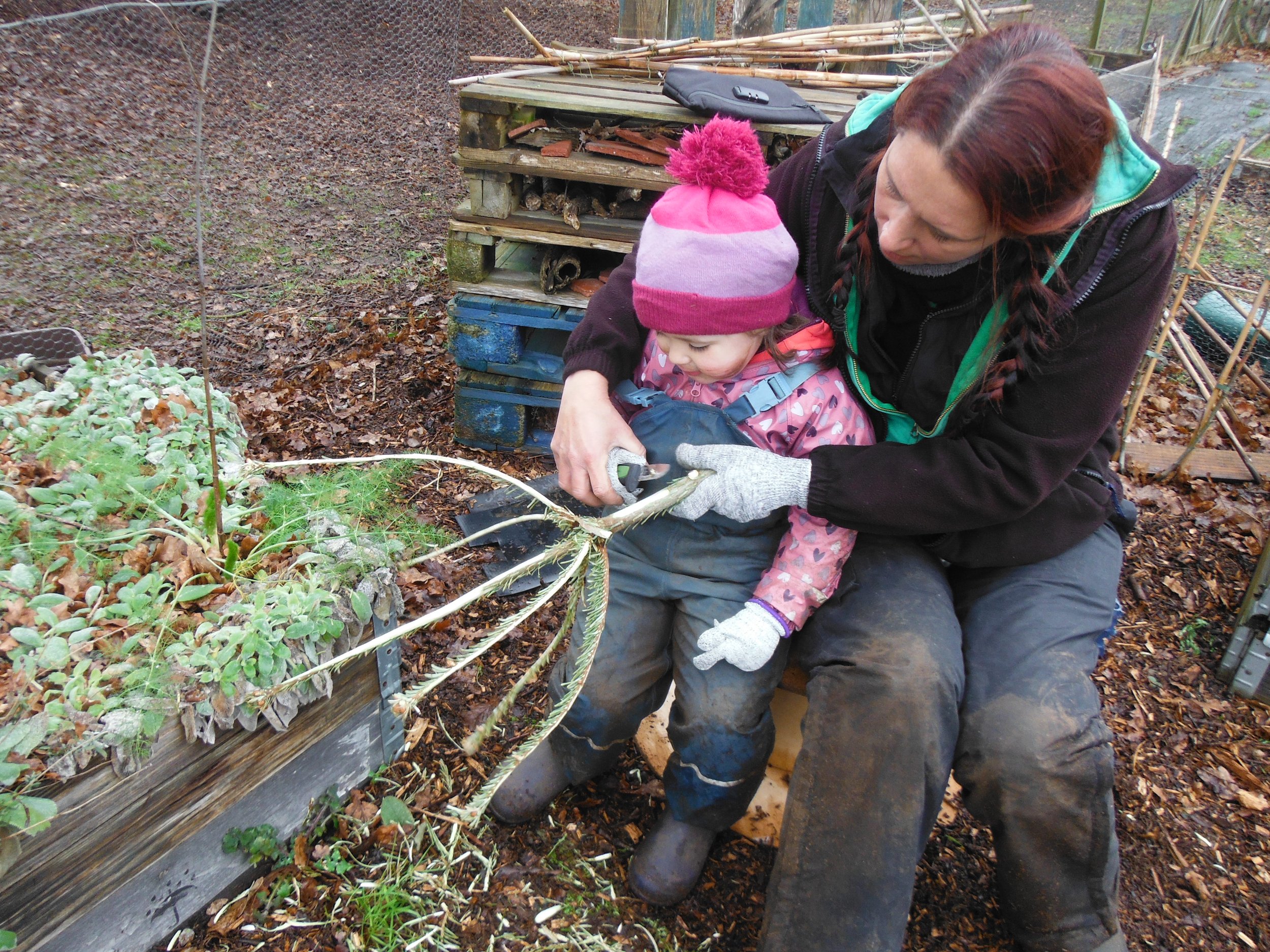 Learning knife skills