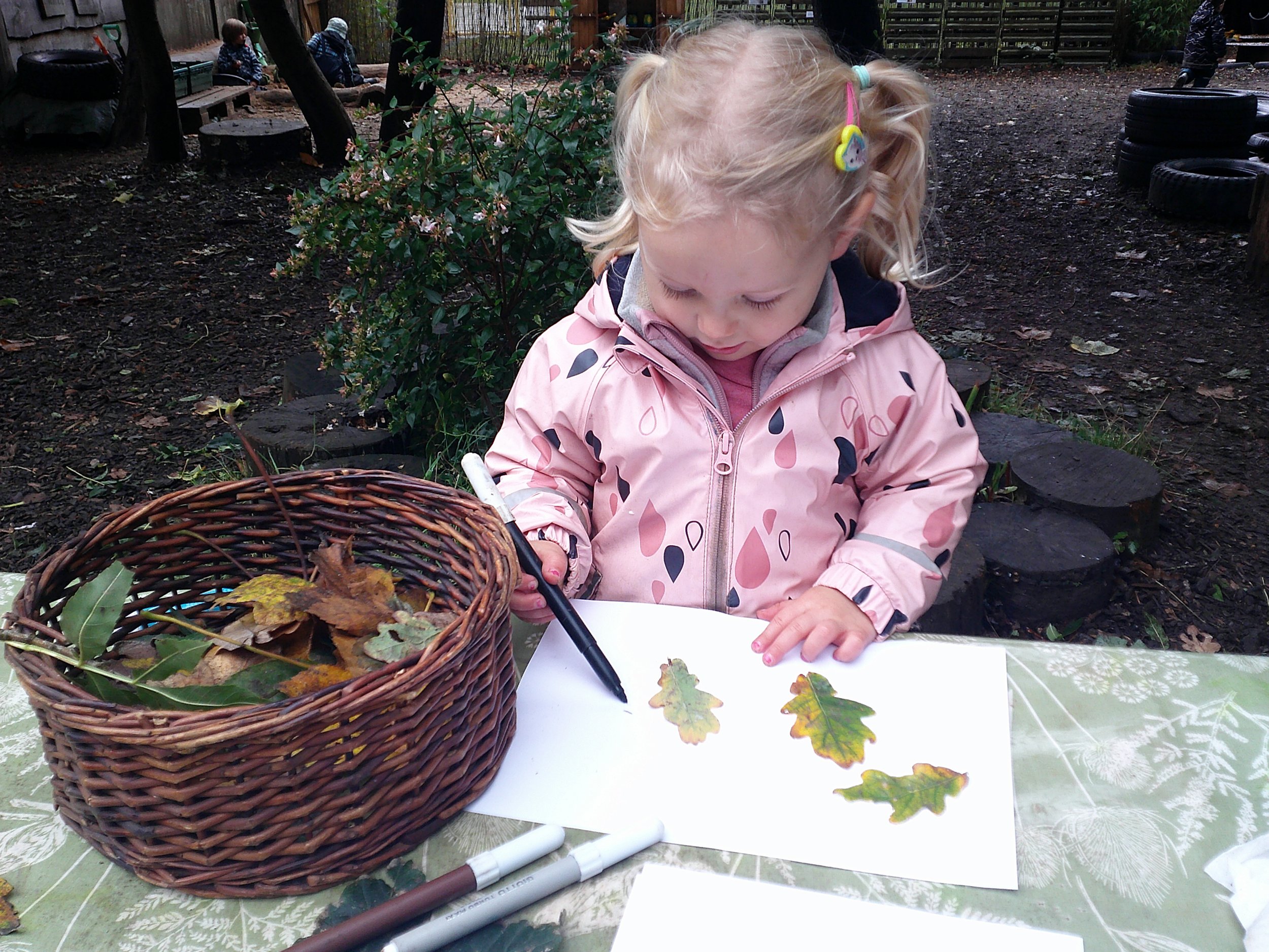  Creatively exploring nature  