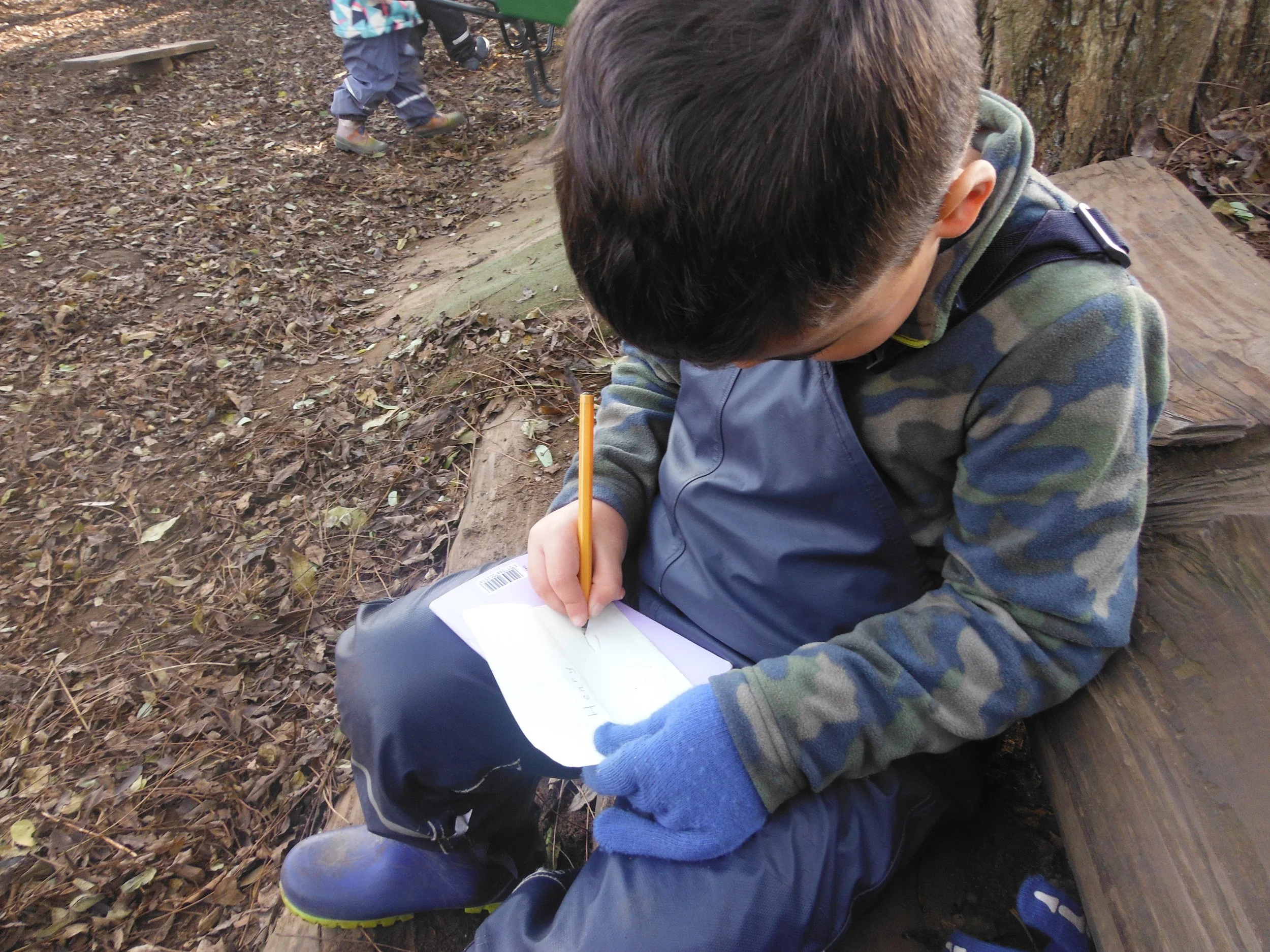 Writing confidently and for a purpose