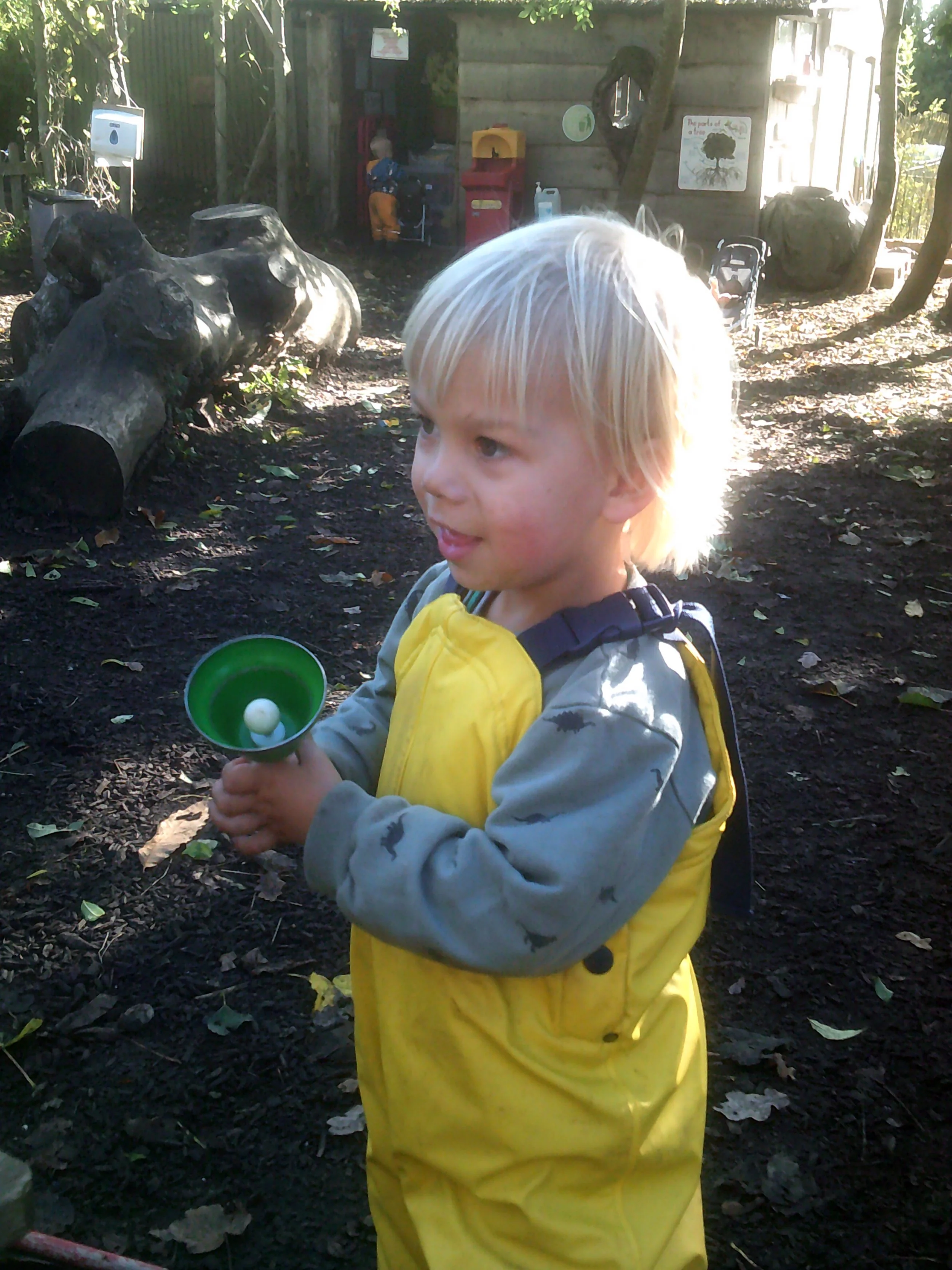 Exploring rhythm and sound