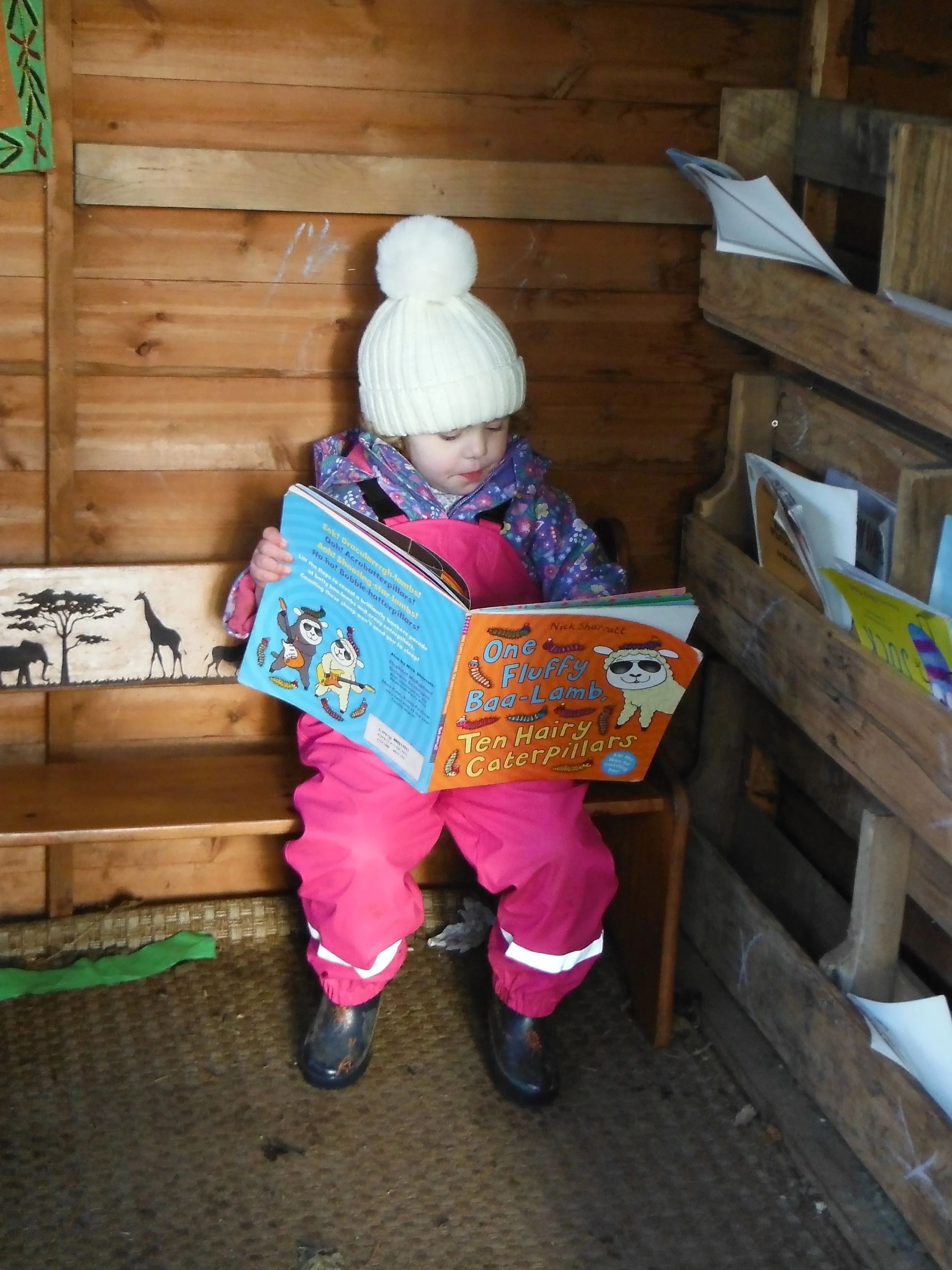 Enjoying a read in the book shed