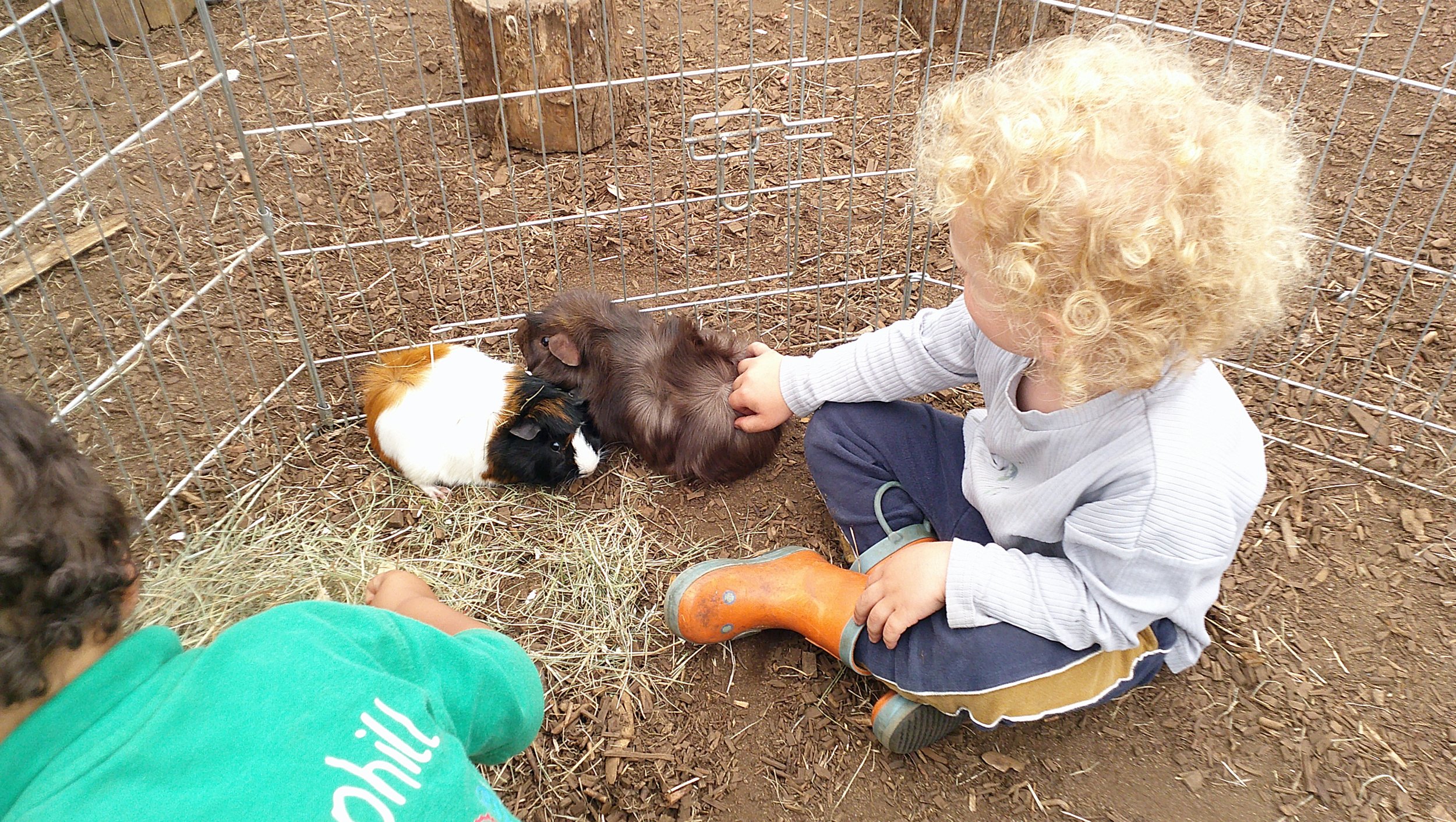 Playing with Simon and Theodore