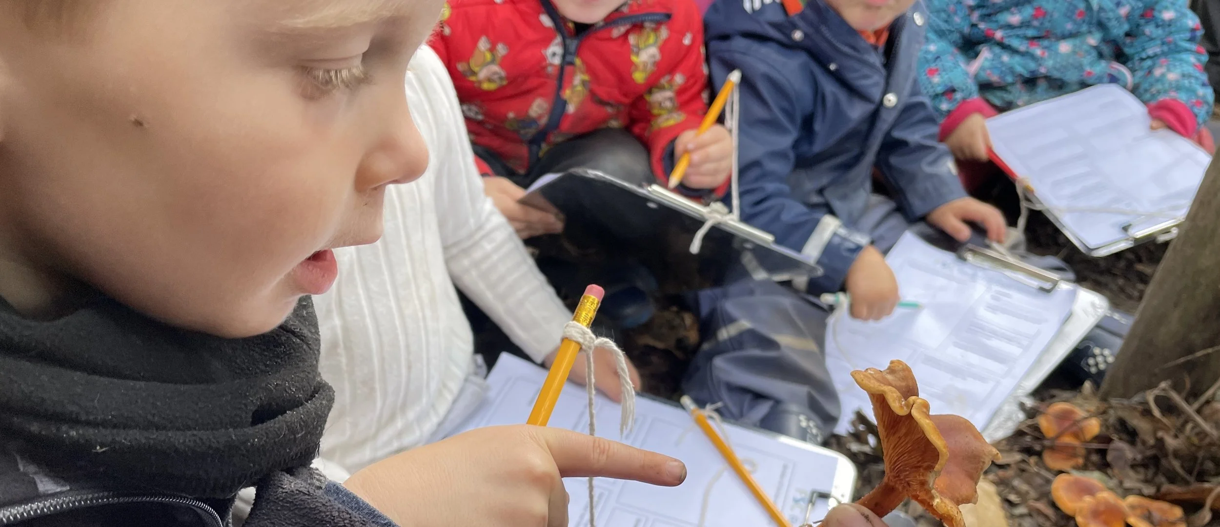 A top of page original.jpg