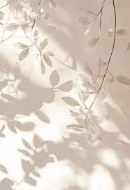 Shadows of leaves and branches cast on a light-colored surface.