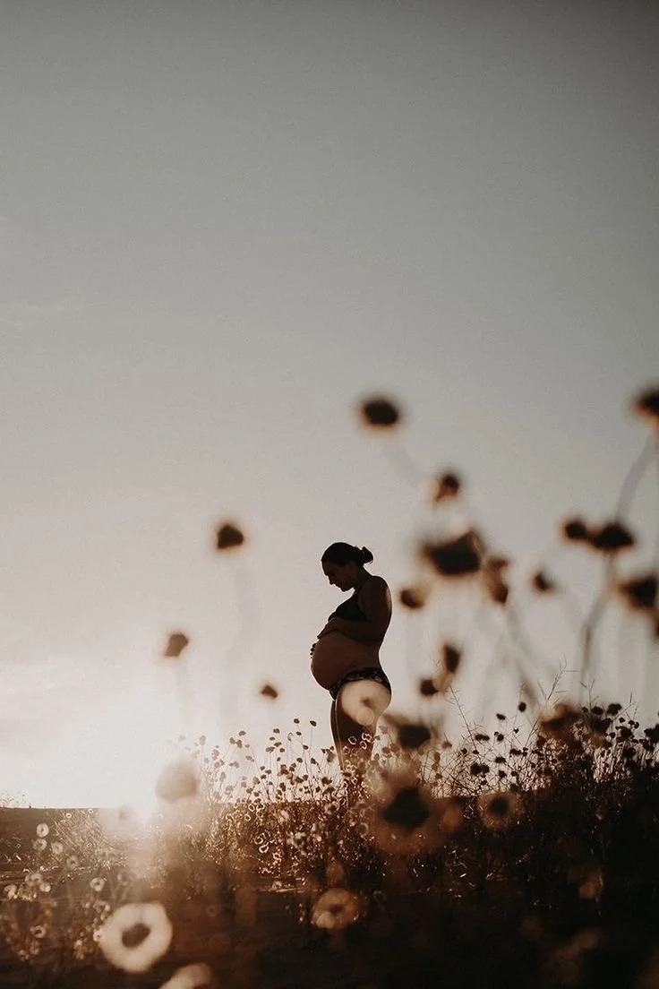 Silhouette of a pregnant woman standing in a field of flowers during sunset