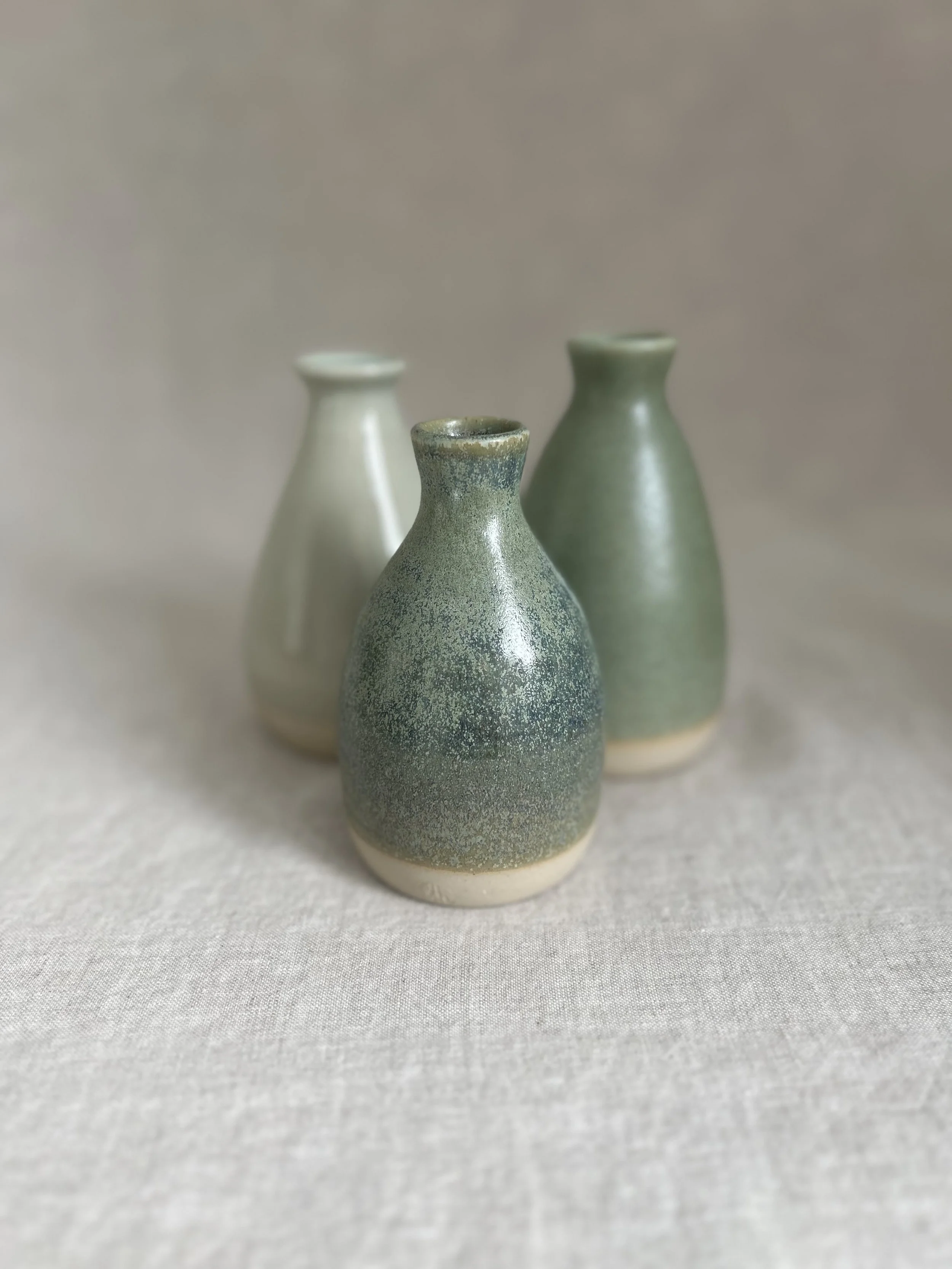 IMG_3265.jpeg (Copy)