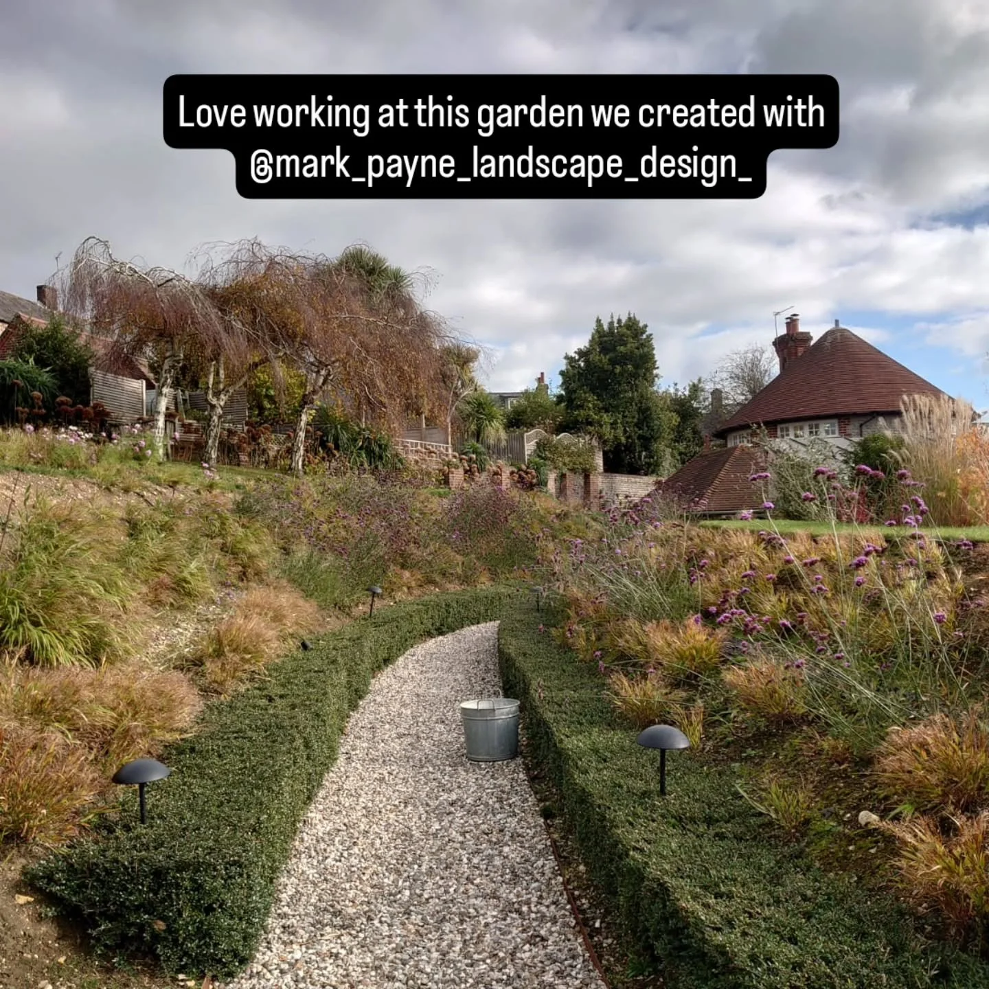 This Lonicera nitida hedge is the best example of a bit alternative and shows if you are willing to maintain it regularly the results speak for themselves... 

#clippedhedge #topiary #lonicerahedge #lonicera #gardenideas #gardencare #autumngardening 
